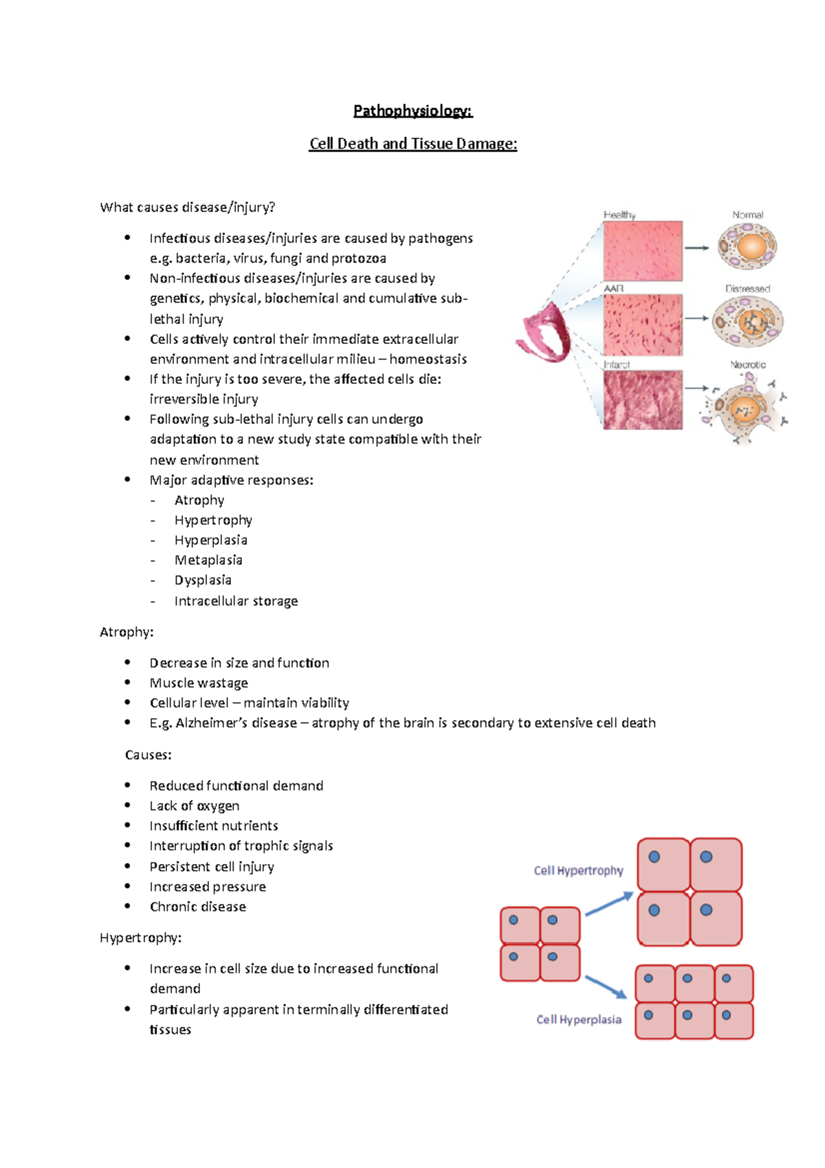 Lecture 2 - Cell Death and Tissue Damage - Pathophysiology: Cell Death ...