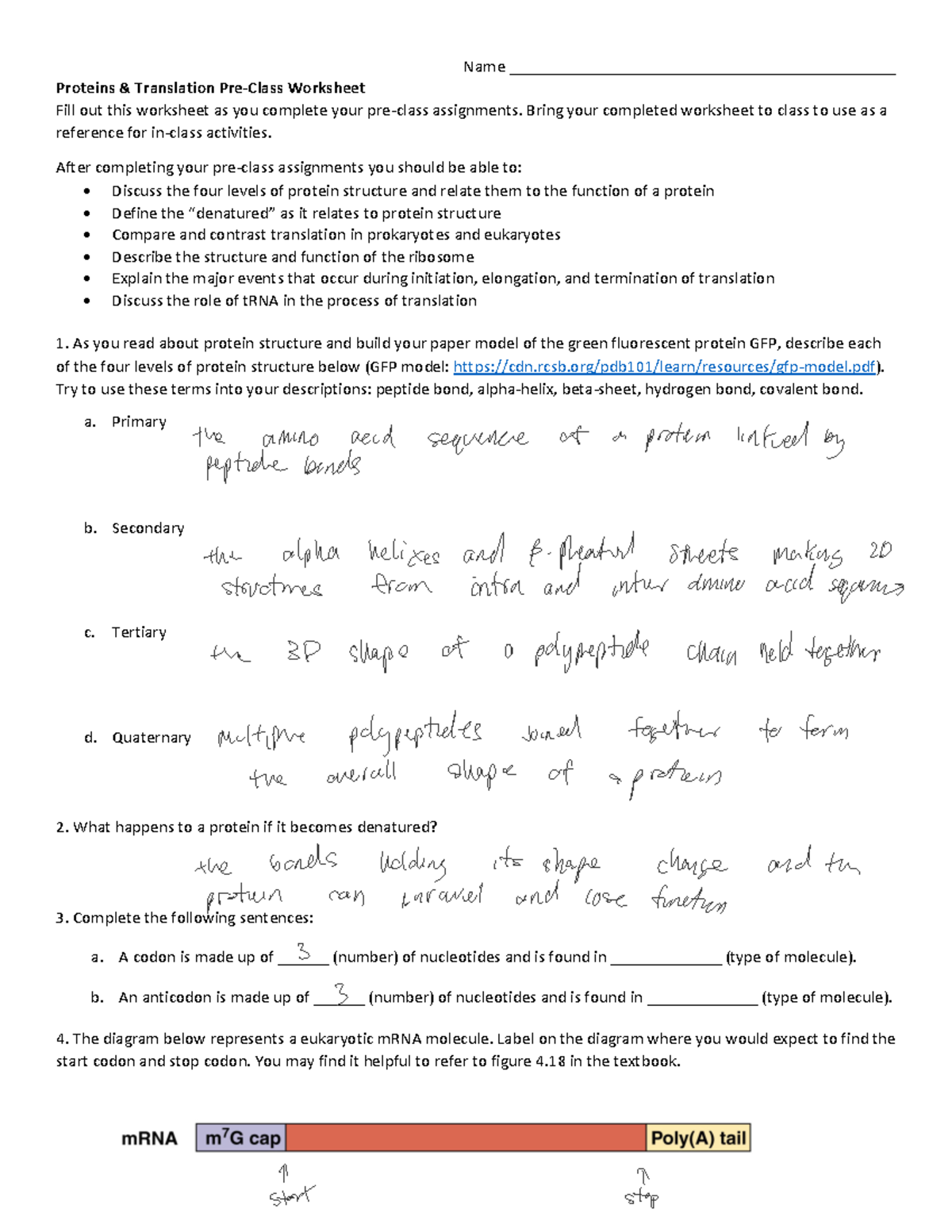 Week 6a Proteins and Translation Reading Guide - Name