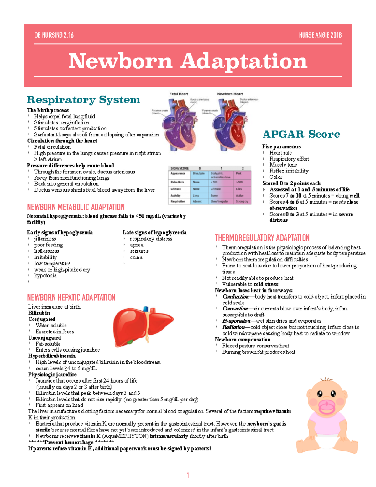 OB Nursing 2 - 1 OB NURSING 2 NURSE ANGIE 2018 Newborn Adaptation ...