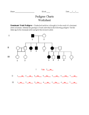 Cladograms Gizmo - Name: Date: Student Exploration: Cladograms ...