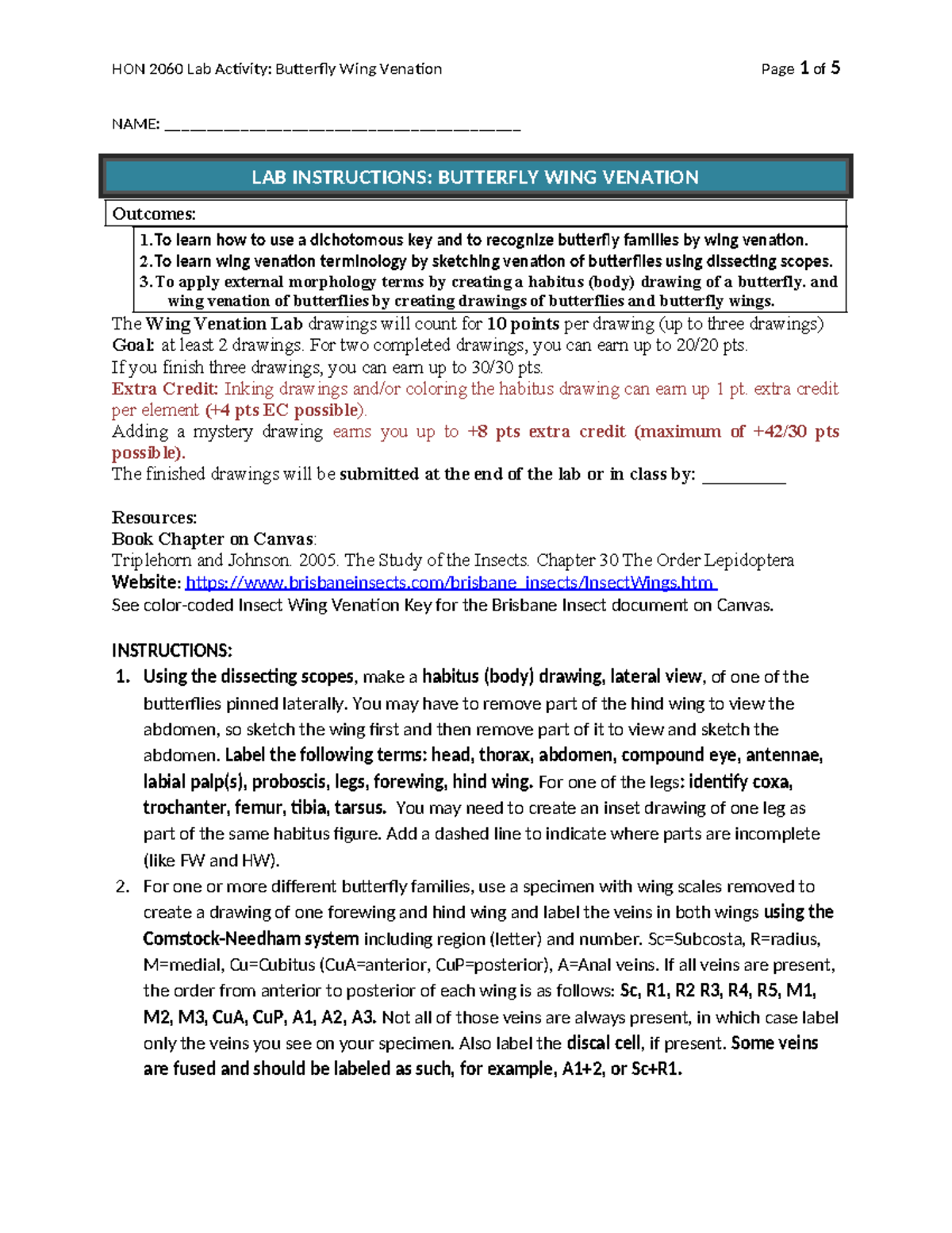 Activity+Wing+Venation+Lab+Instructions+2022 - NAME
