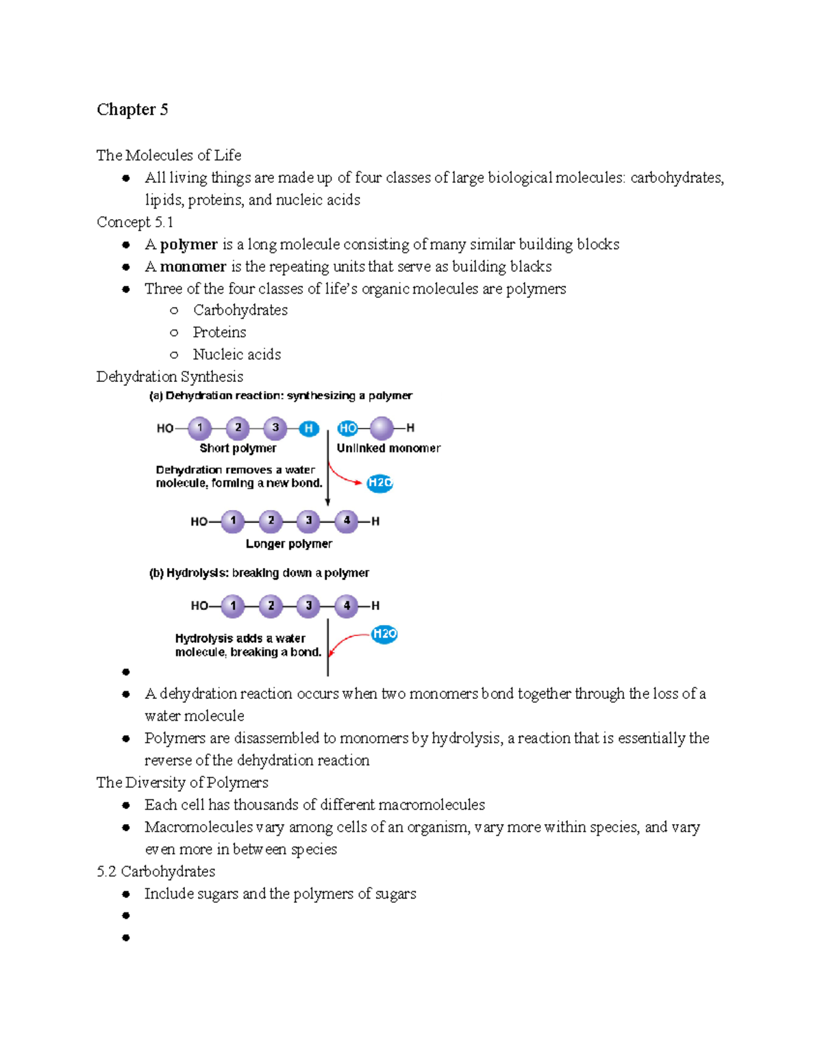 Chapter 5 Lecture Notes Intro Bio - Chapter 5 The Molecules Of Life All ...