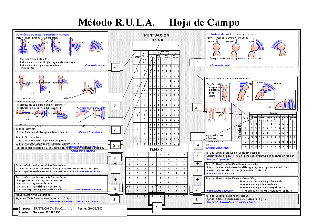Anexo 5 RULA hoja campo - Paso 1a: Corrgir... + +3 + 9a: Corr + +3 ...