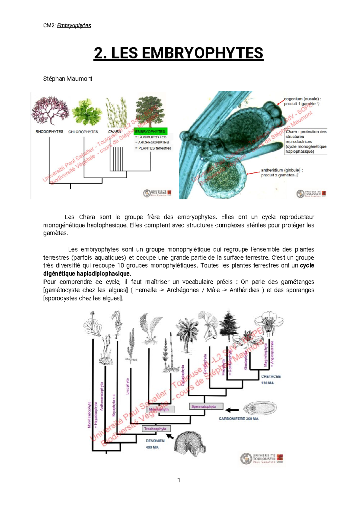 2. Les embryophytes - Notes de cours 2 - 2. LES EMBRYOPHYTES Stéphan ...