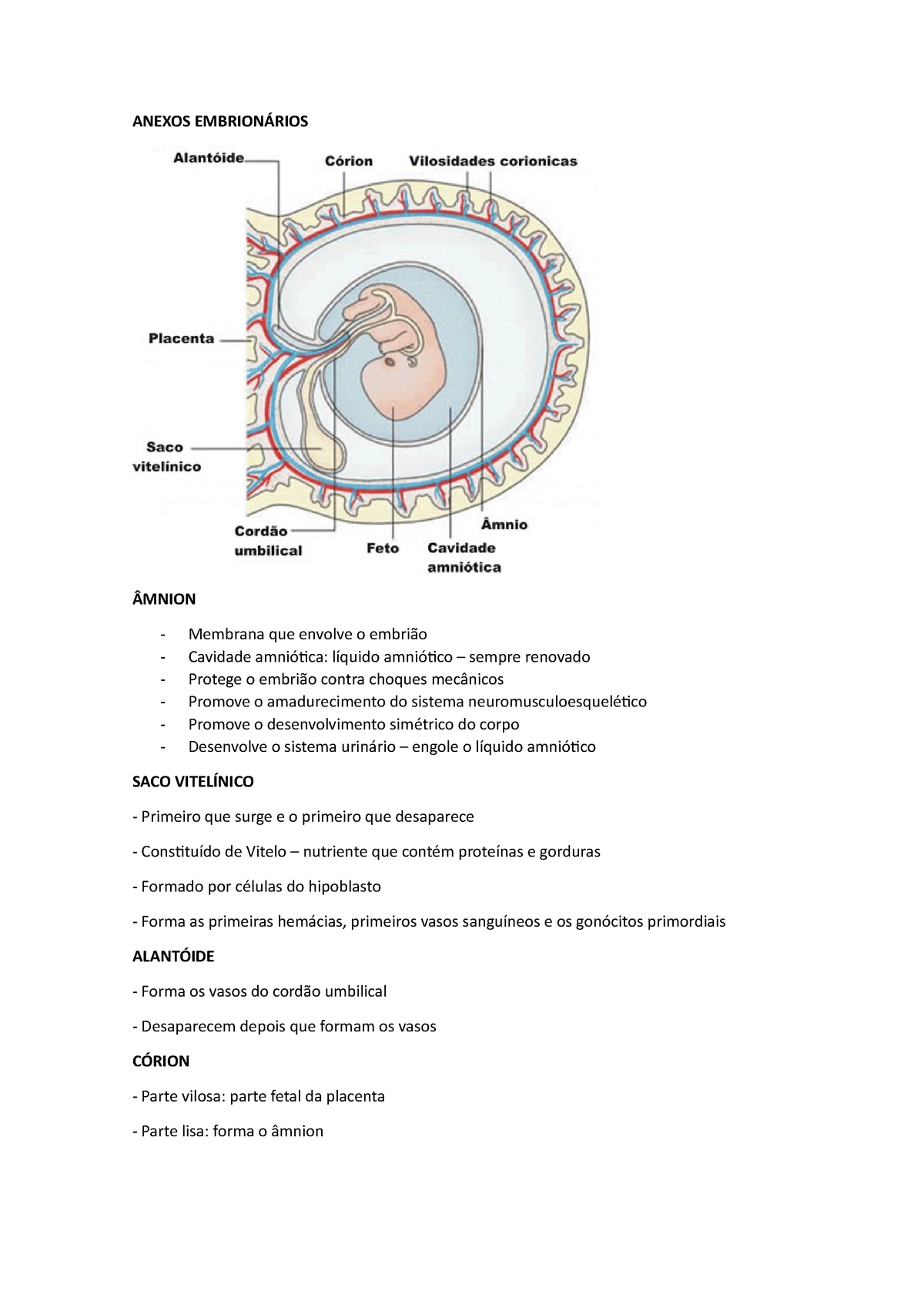 Anexos Embrionários ANEXOS EMBRIONÁRIOS ÂMNION Membrana que envolve o embrião Cavidade