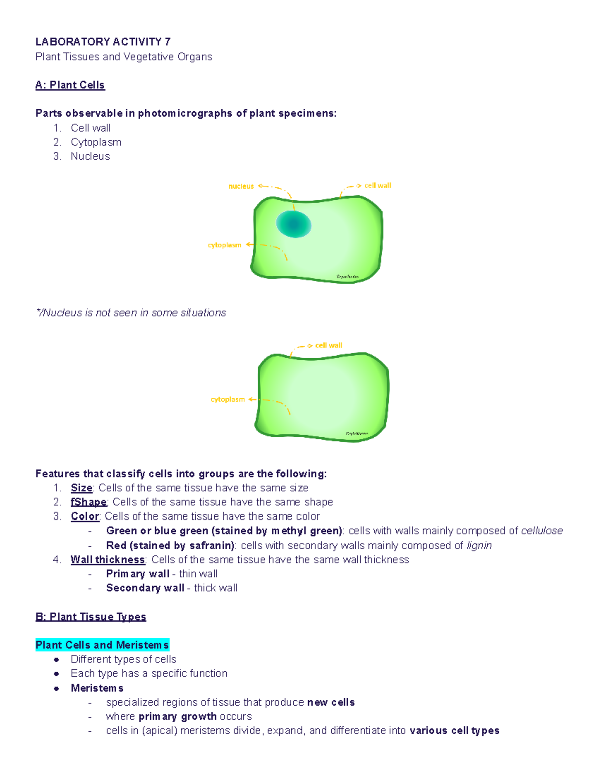 BIO 110 LAB - Plant Tissues Reviewer - LABORATORY ACTIVITY 7 Plant ...