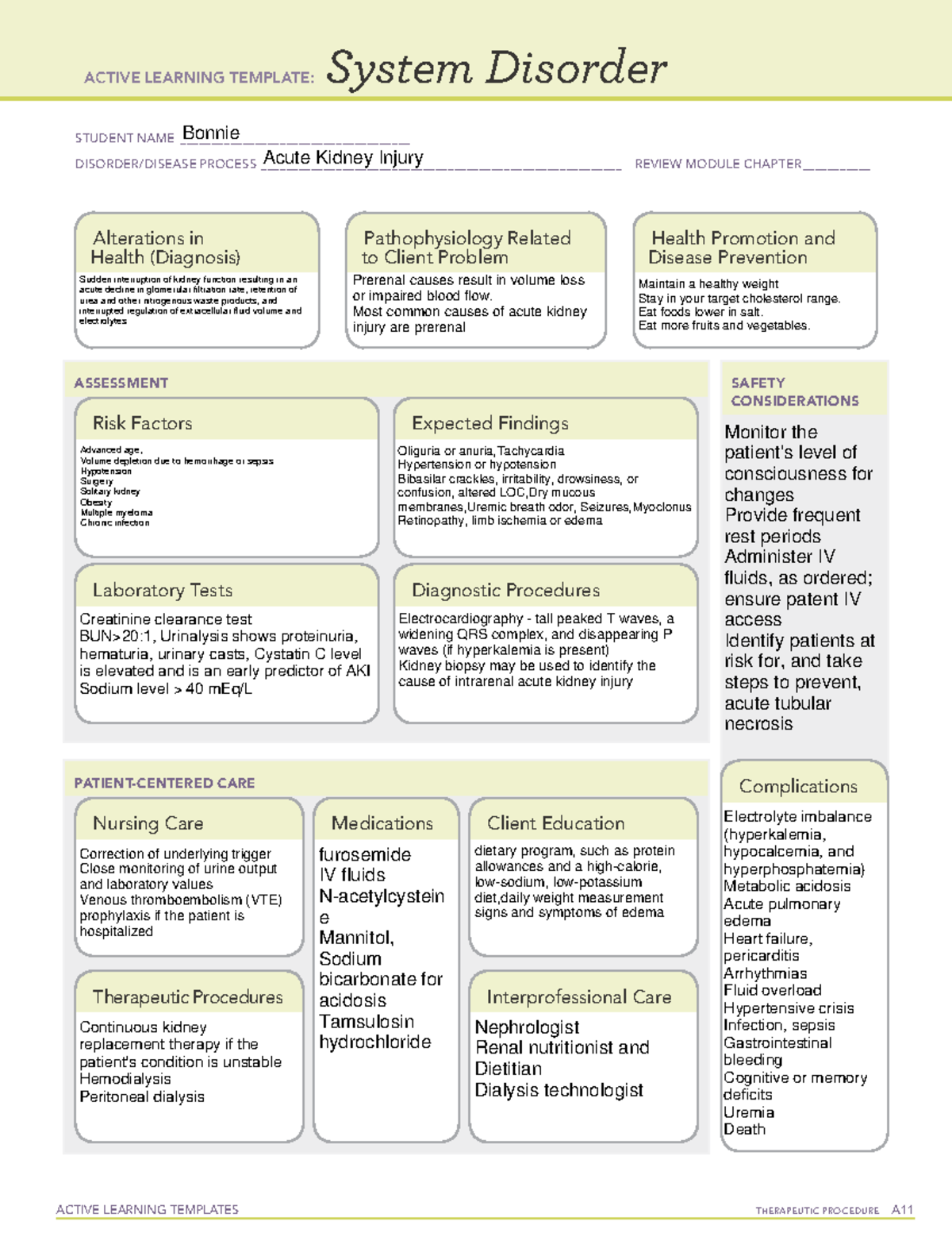 Acute Kidney Injury - ACTIVE LEARNING TEMPLATES TherapeuTic procedure A ...