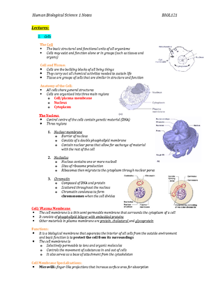 [Solved] A Description Of The Normal Anatomy And Physiology Of ...