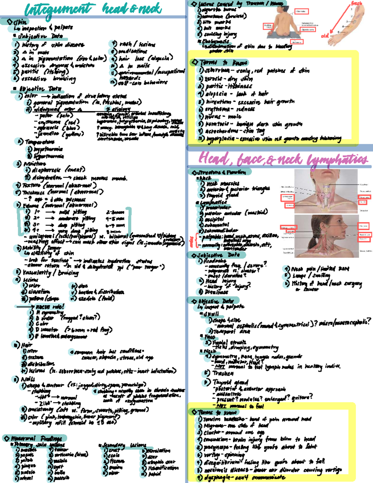 Exam 2 study guide - Lecture notes - 6 Lesions caused by Trauma / Abuse ...