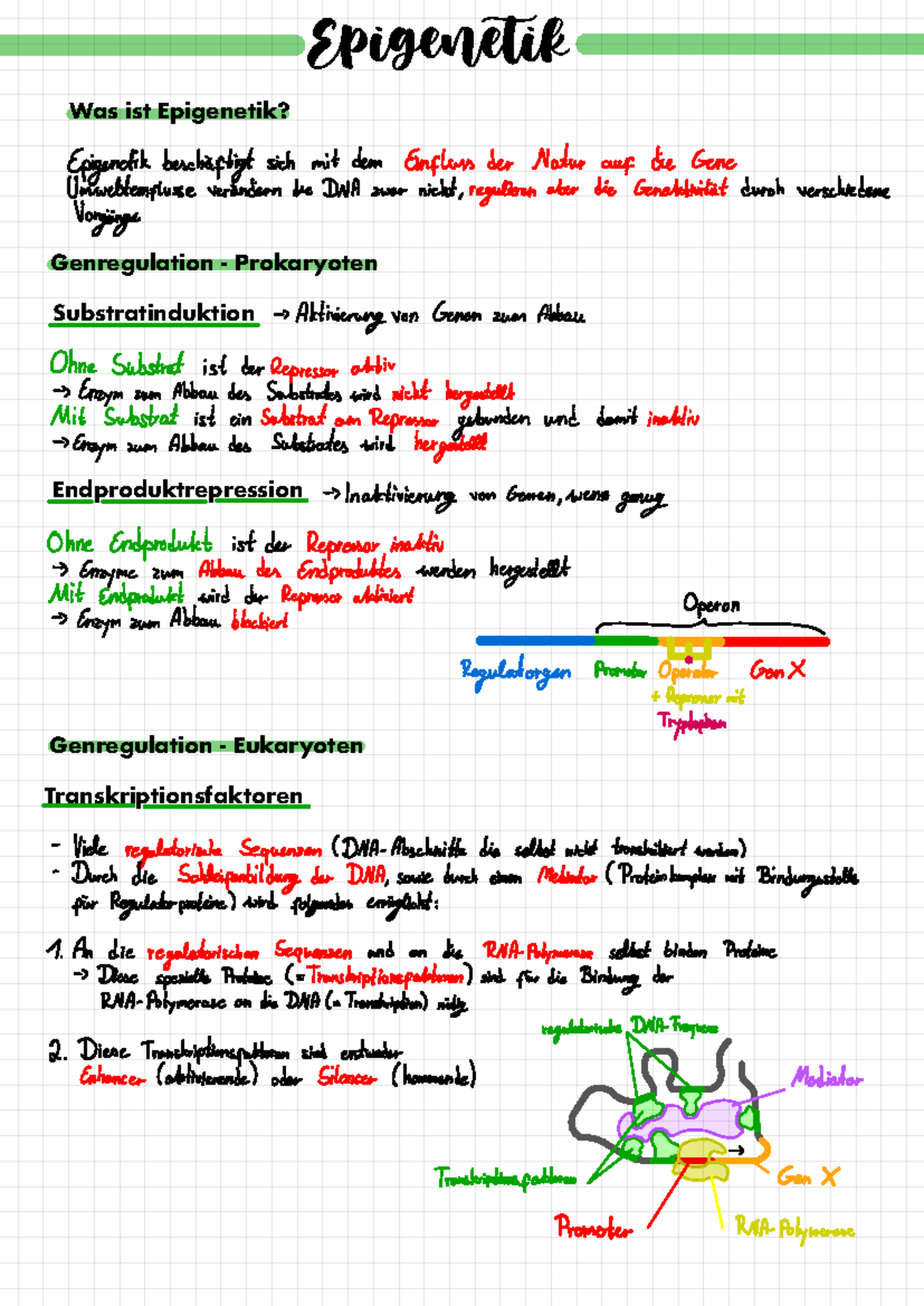 Und Genregulation Was ist Genregulation