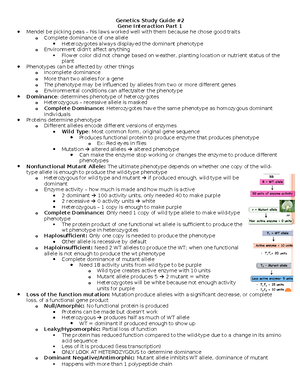 Chapter 7- DNA Structure and Replication - Chapter 7 DNA Structure and ...