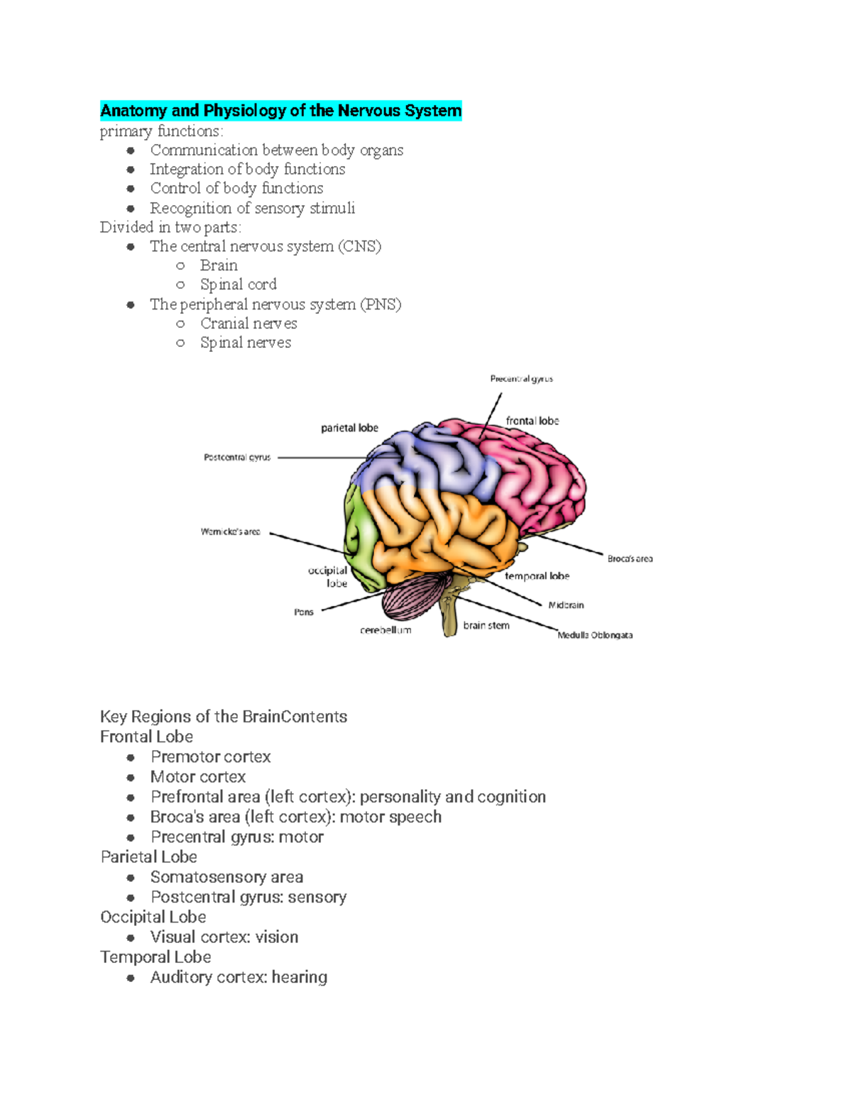 Anat Phys Of The Nervous System Study Guide Anatomy And Physiology Of