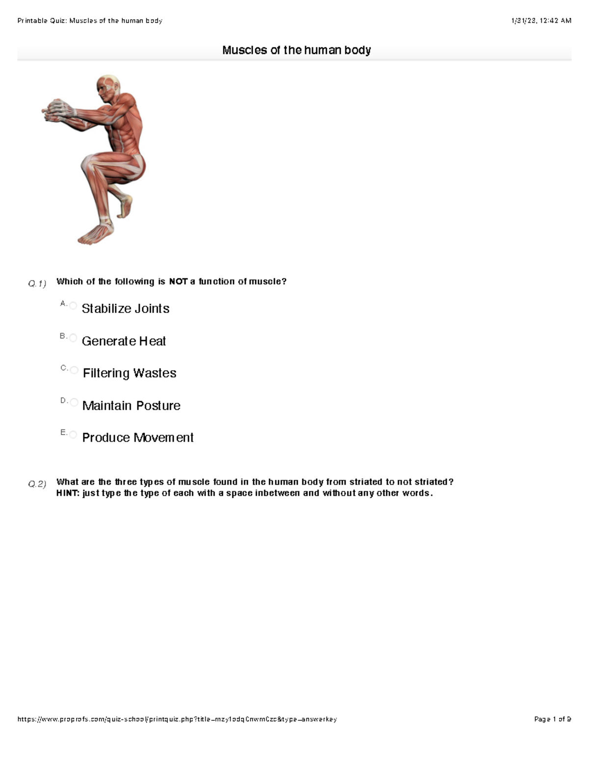 Muscles of the human body Q) Which of the following is NOT a function