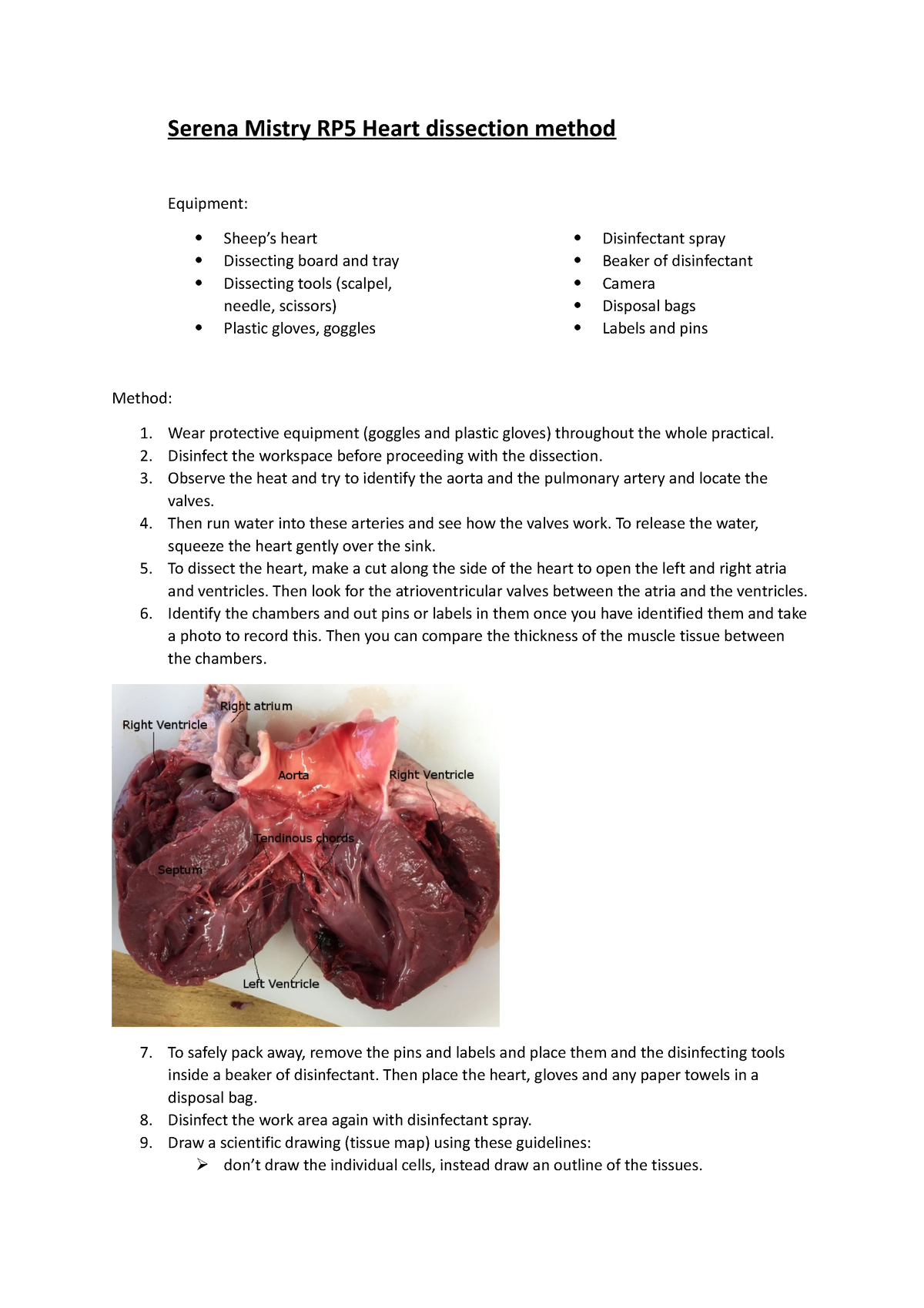 RP 5 heart dissection method Serena Mistry RP5 Heart dissection