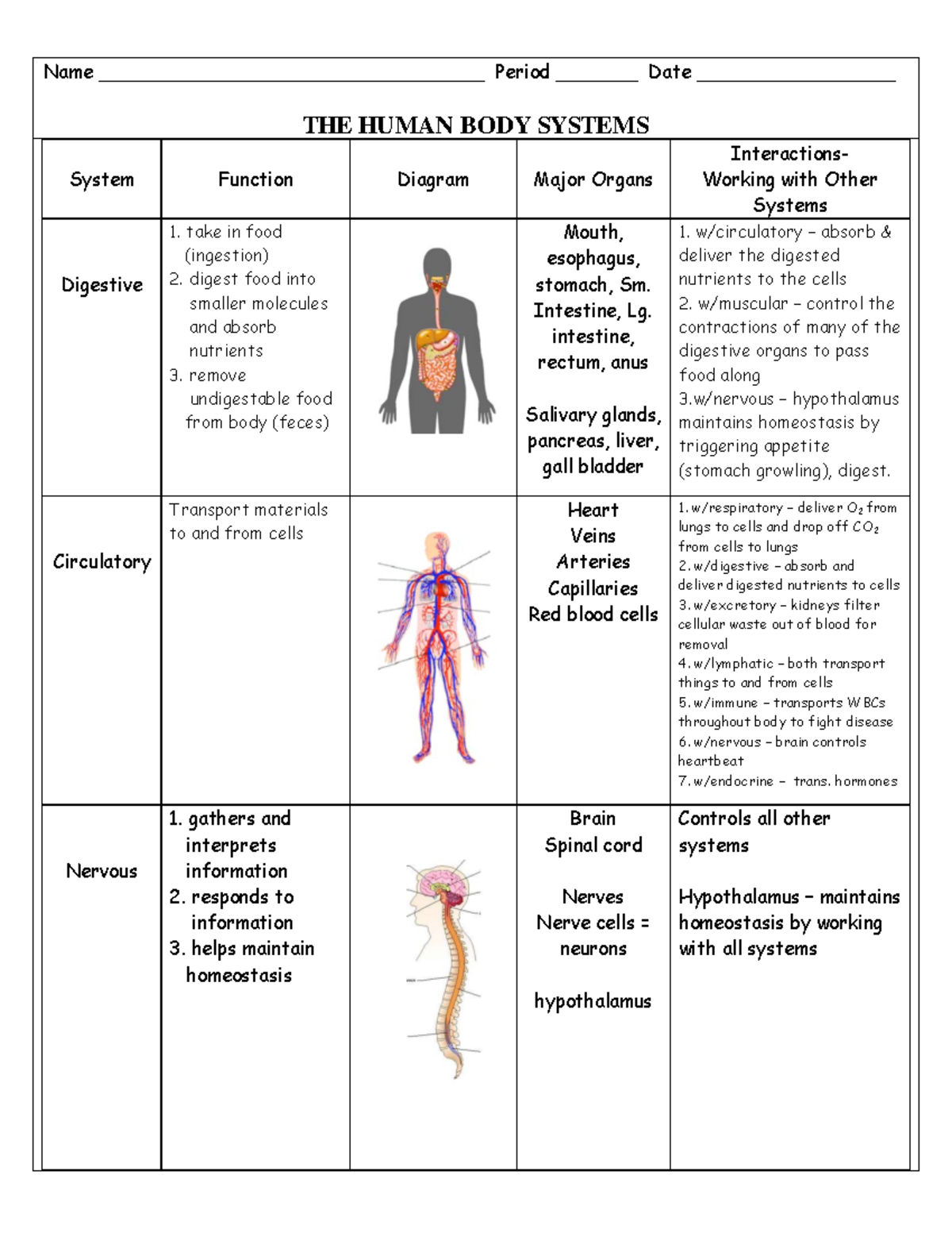 Body Systems Interactions chart - Name ...