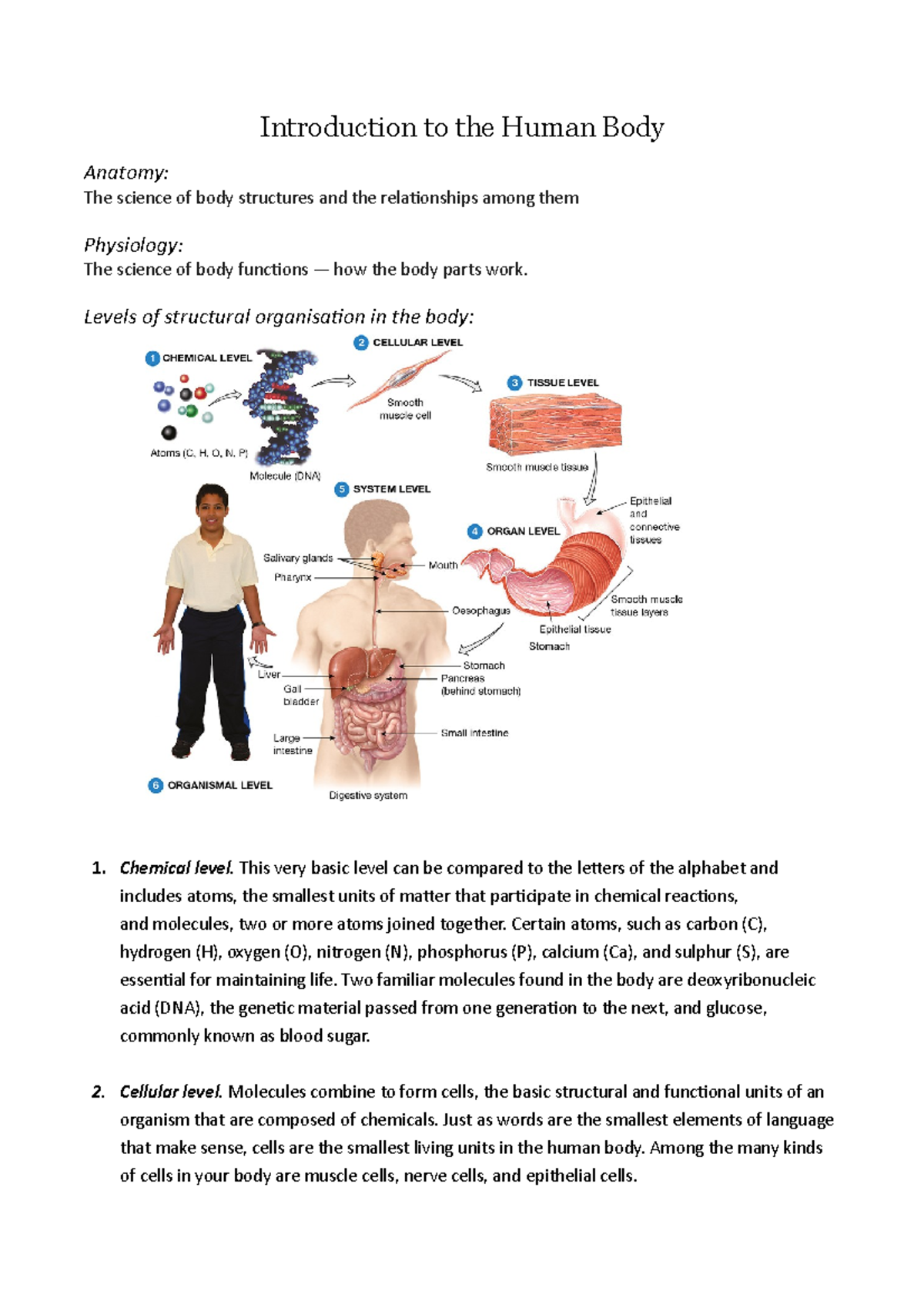 Introduction to The Human Body W1 - Introduction to the Human Body ...