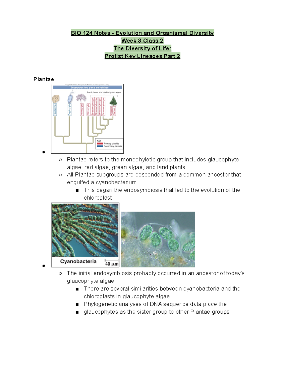 BIO 124 Week 3 Class 2 Notes - BIO 124 Notes - Evolution and Organismal ...