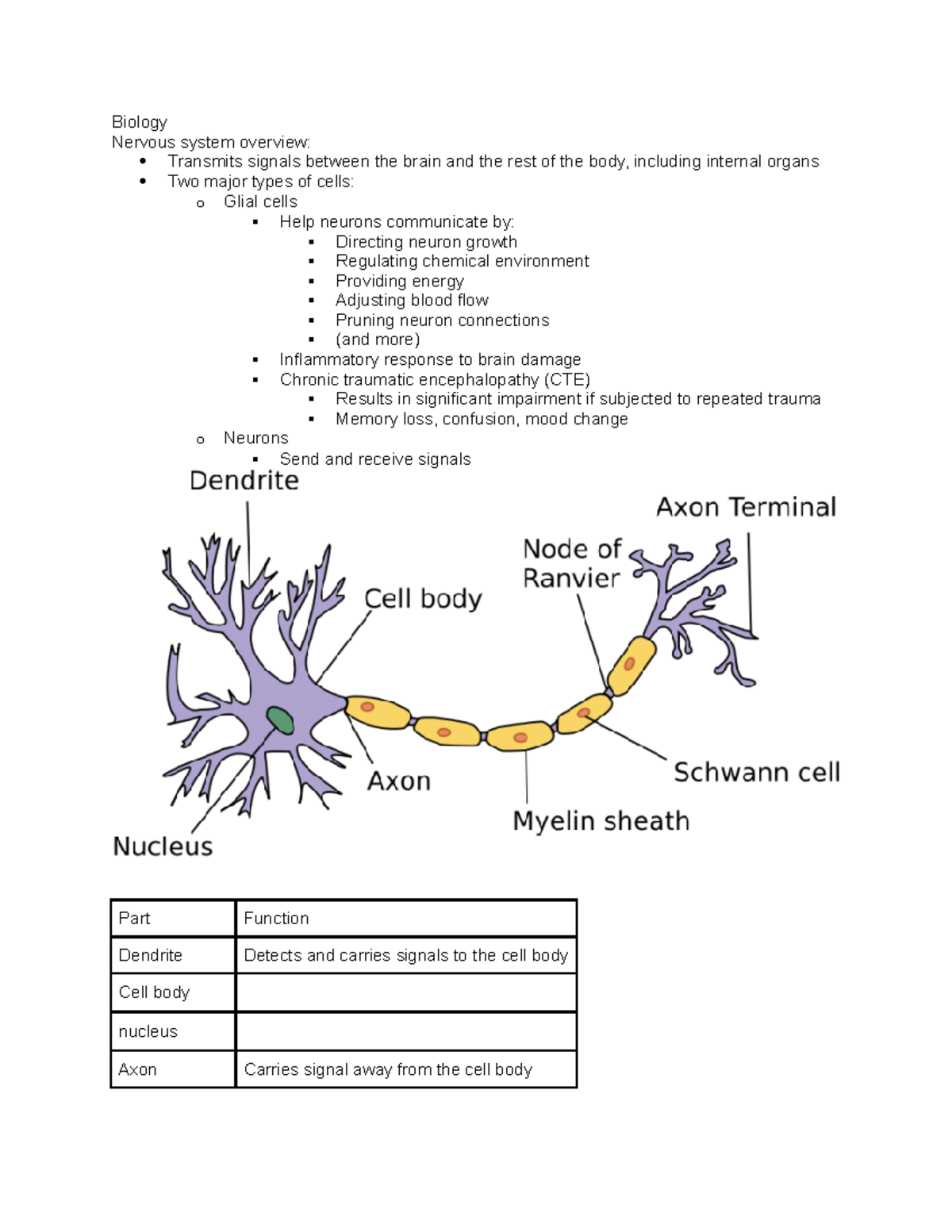 Chapter 2.1 notes - Biology Nervous system overview: Transmits signals ...