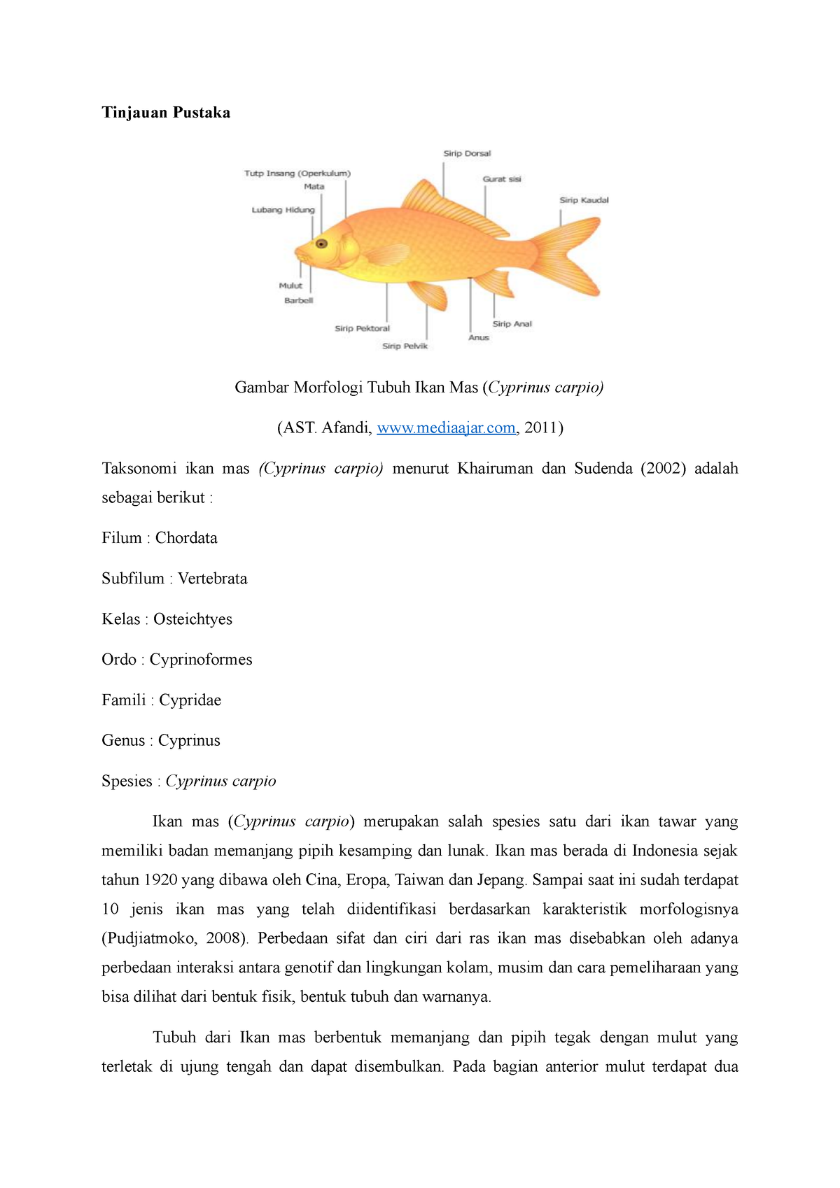 Tinjauan Pustaka Biologi Ikan Mas Taksonomi Morfologi