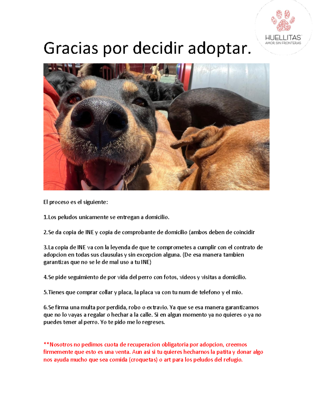 Cuestionario de adopción HASF - Gracias por decidir adoptar. El proceso ...