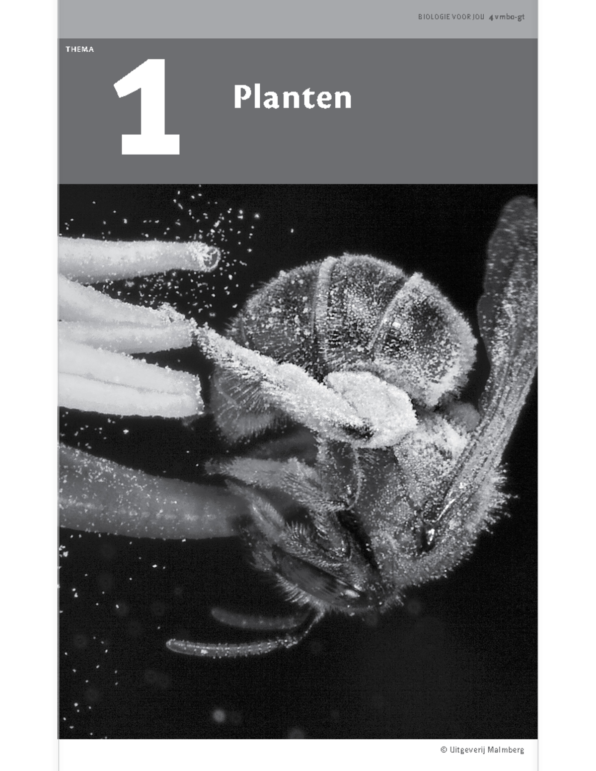 Antwoorden Thema 1 - THEMA 1 Planten © Uitgeverij Malmberg BASISSTOF ...