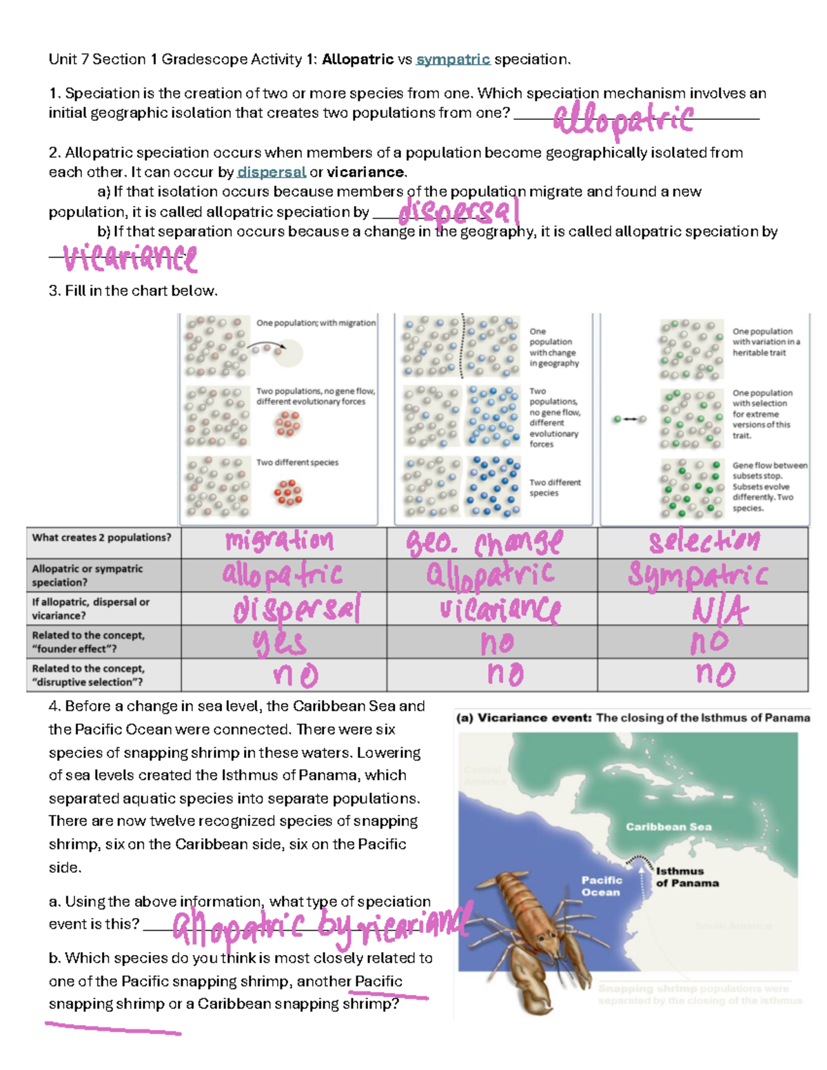 Unit 7 Section 1 And 2 Gradescope - Unit 7 Section 1 Gradescope ...