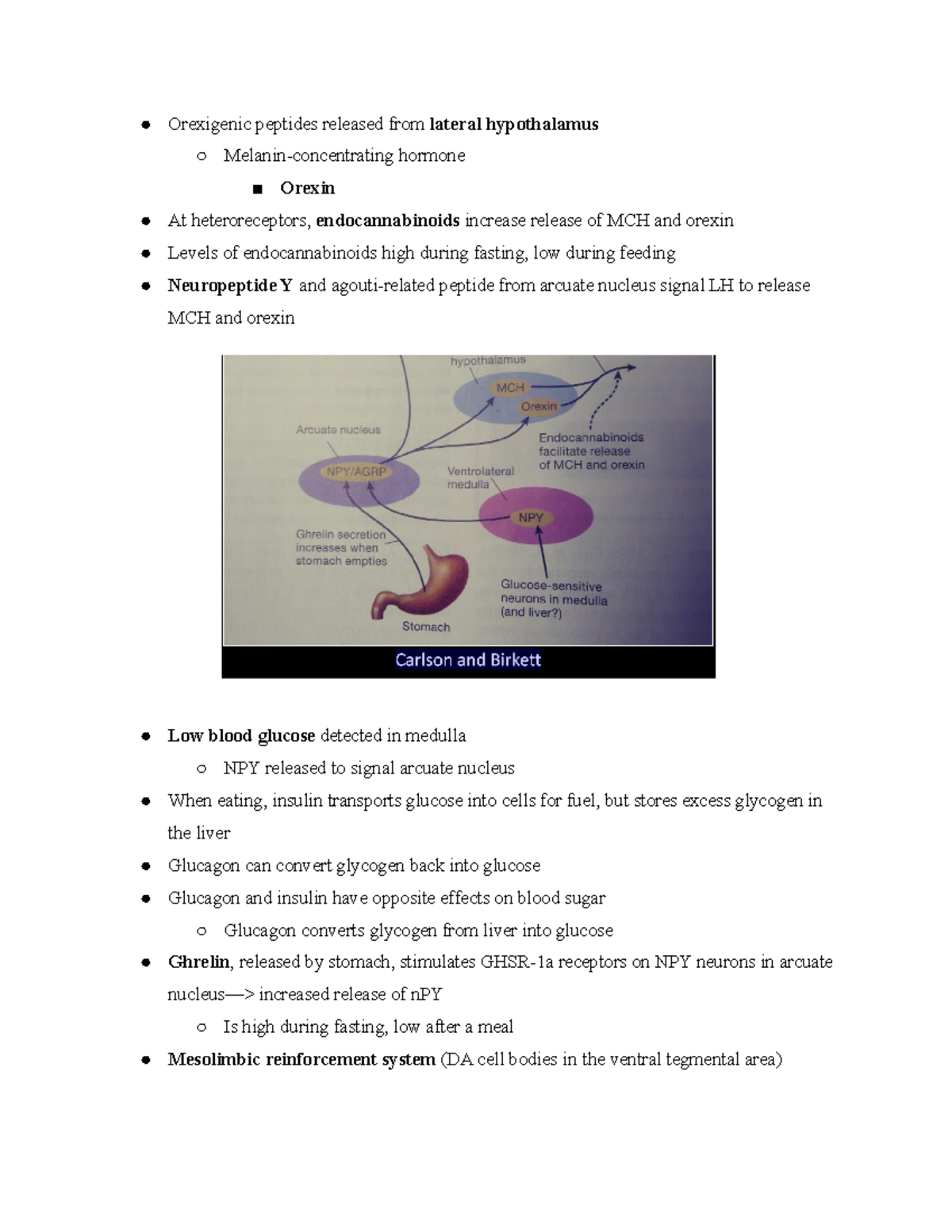 Eating Factors of Hunger and Satiety - Orexigenic peptides released ...