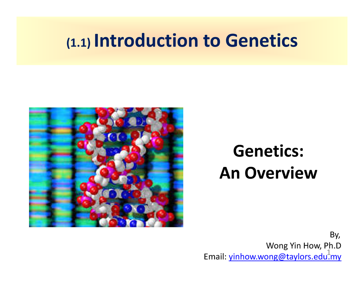 assignment 1.1 introduction to genetics