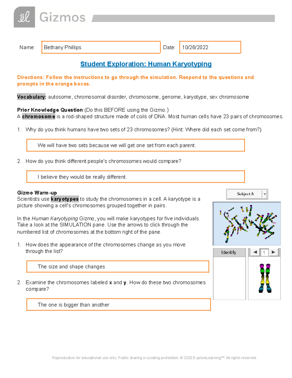 Copy Of Human Karyotyping SE - Name: Bethany Phillips Date: 10/26 ...