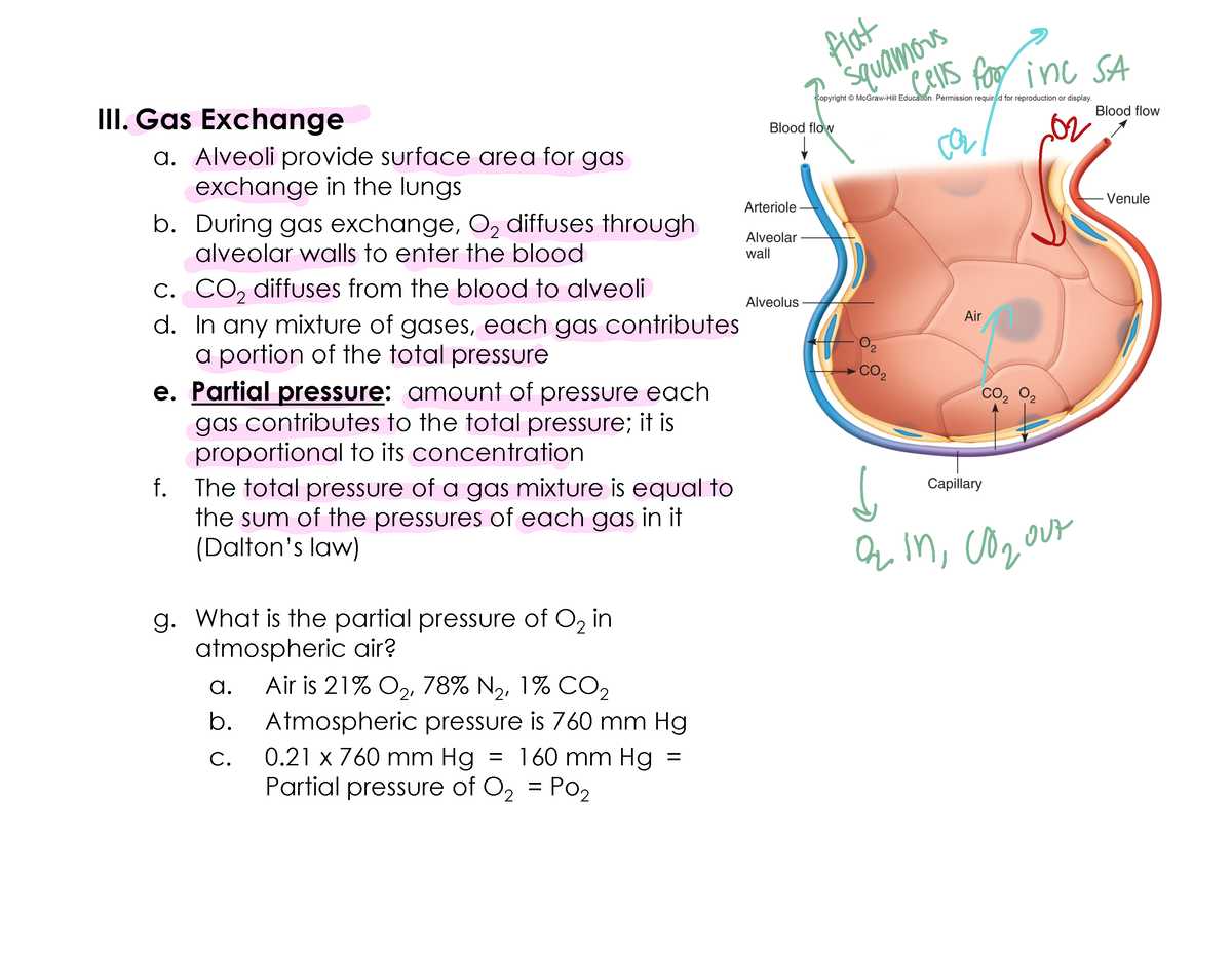 chapter 2 gas exchange case study 29