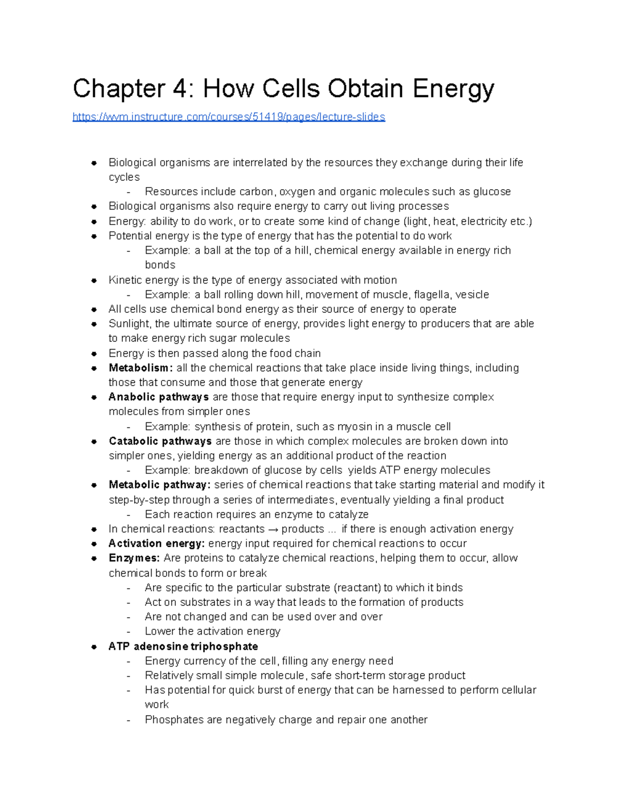 Solved! How Do Eubacteria Obtain Their Energy? - evscudj