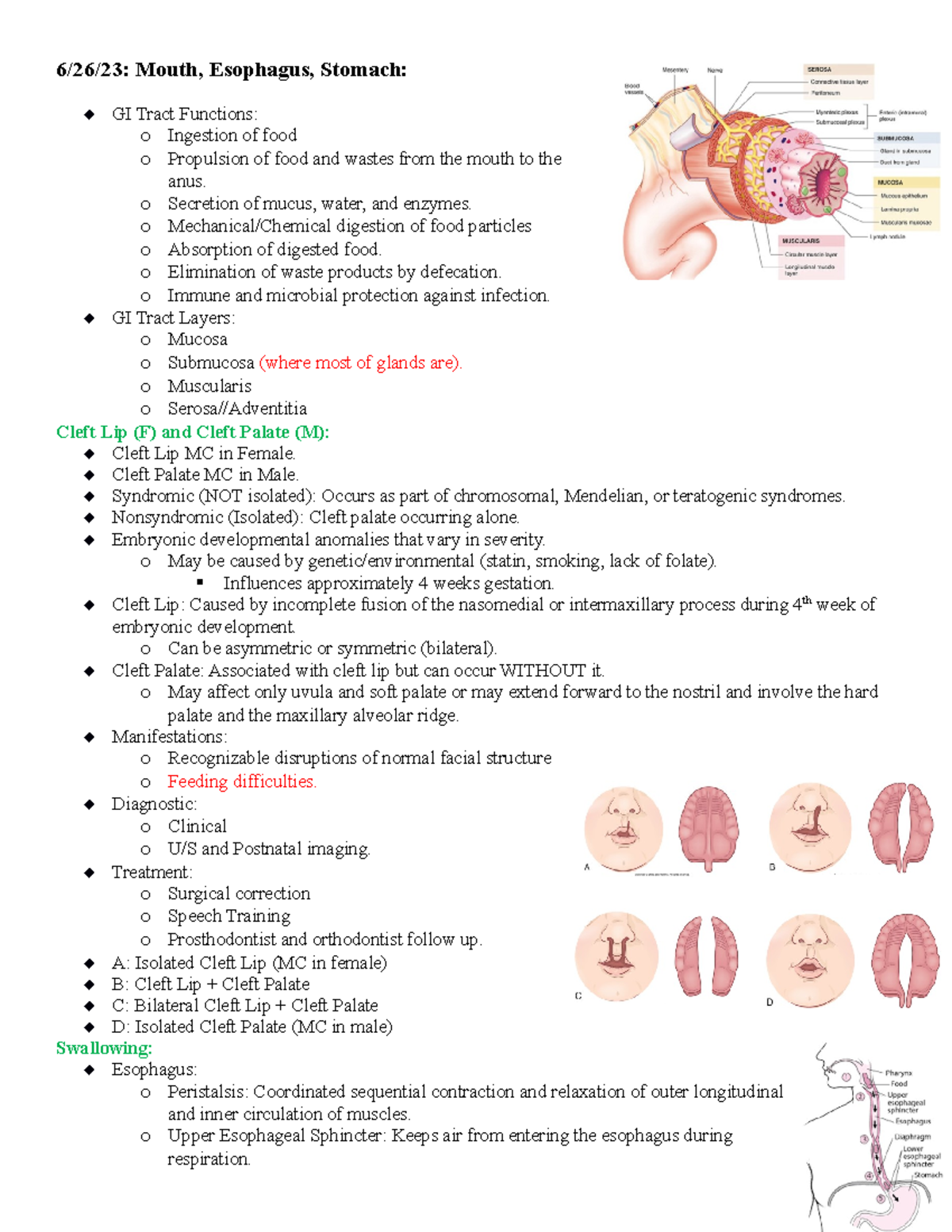 Pathophysiology - GI - lecture notes - 6/26/23: Mouth, Esophagus ...