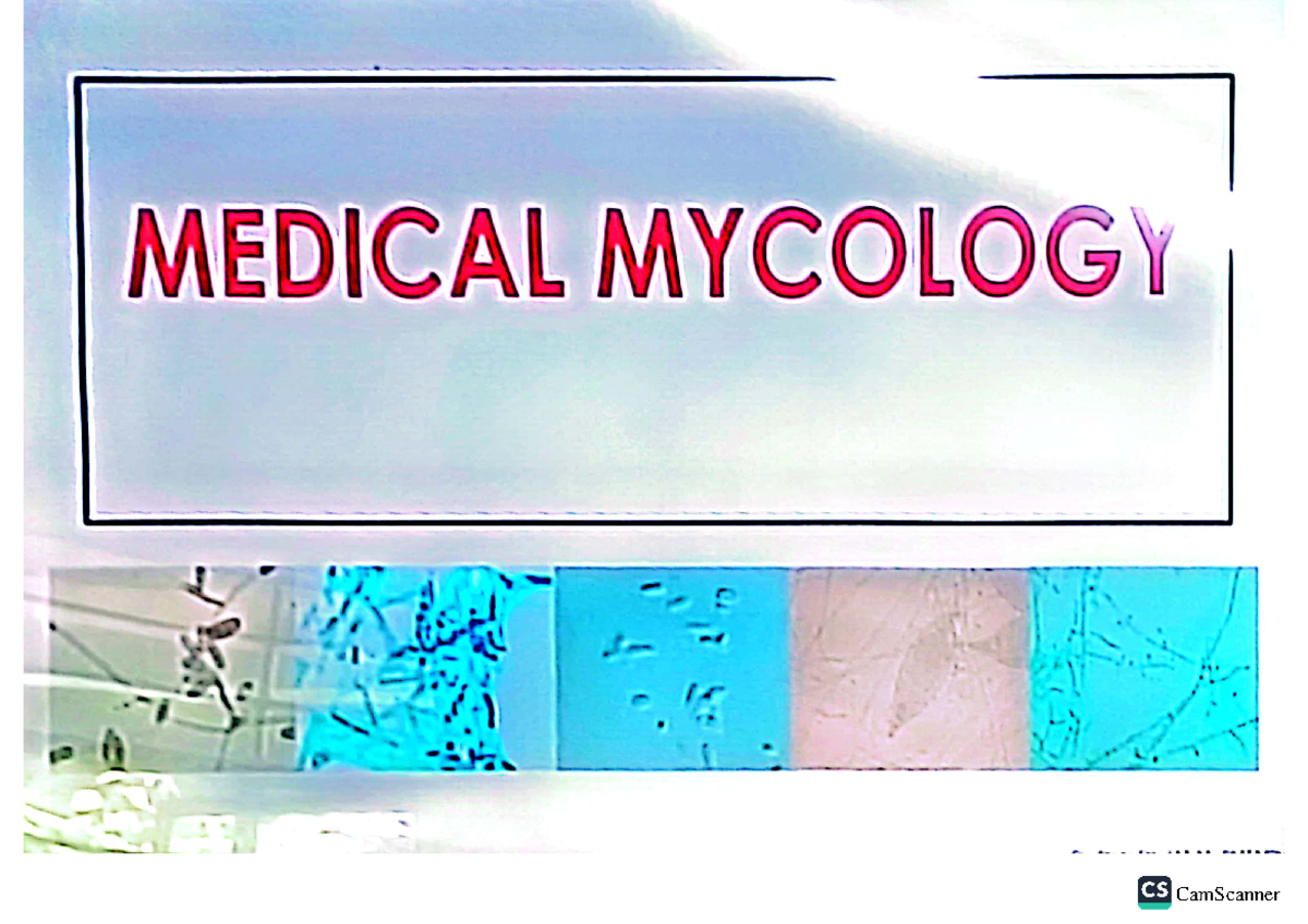 Edited-medical-mycology 1 - MEDICAL MYCOLOGY MEDICAL MYCOLOGY ...