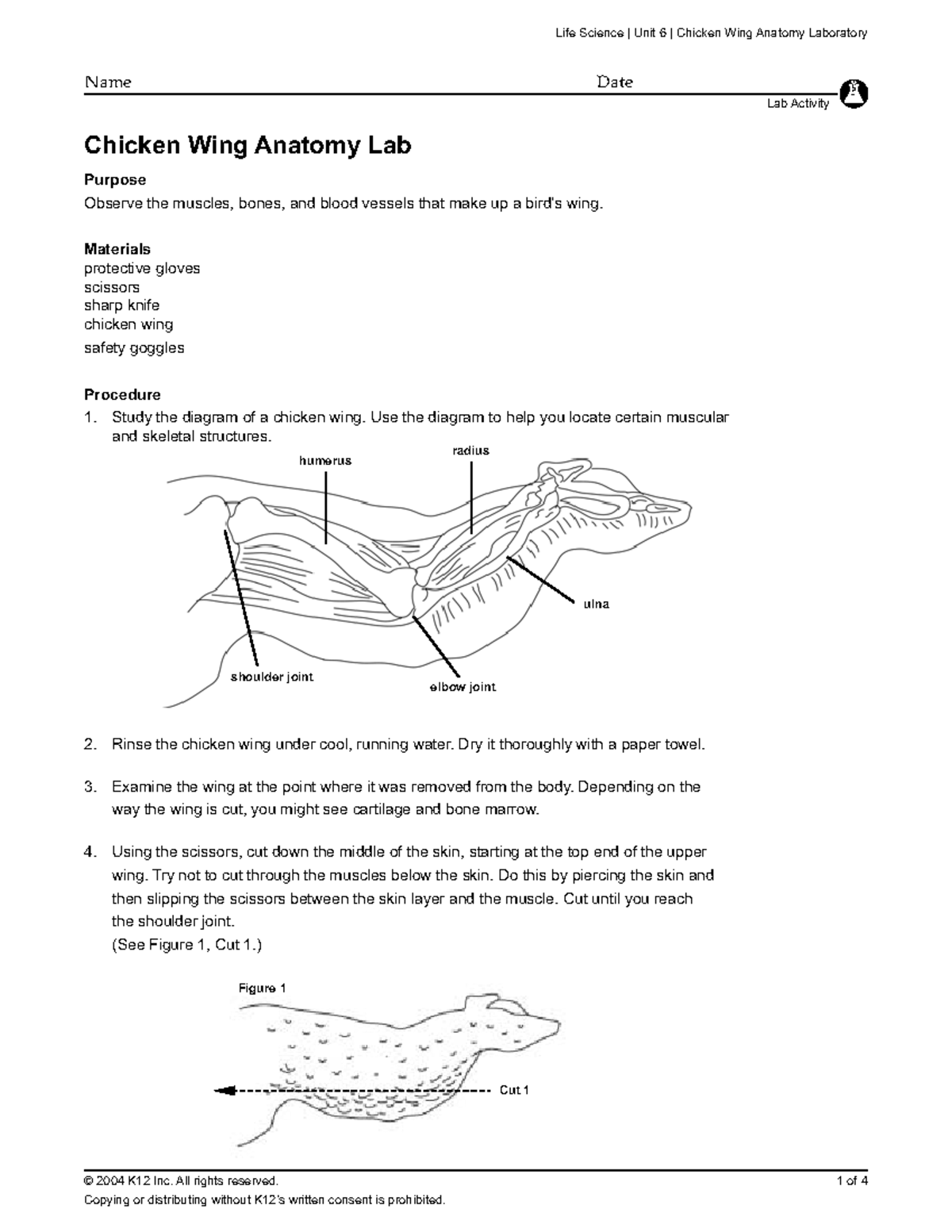 Chickenwinglab2 dcfevfv © 2004 K12 Inc. All rights reserved. Name