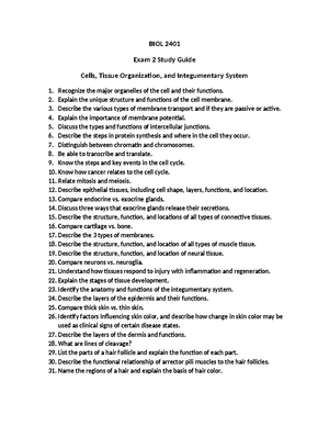 BIOL 2401 Exam 4 Study Guide - Nervous Tissue, Brain-Cranial Nerves ...