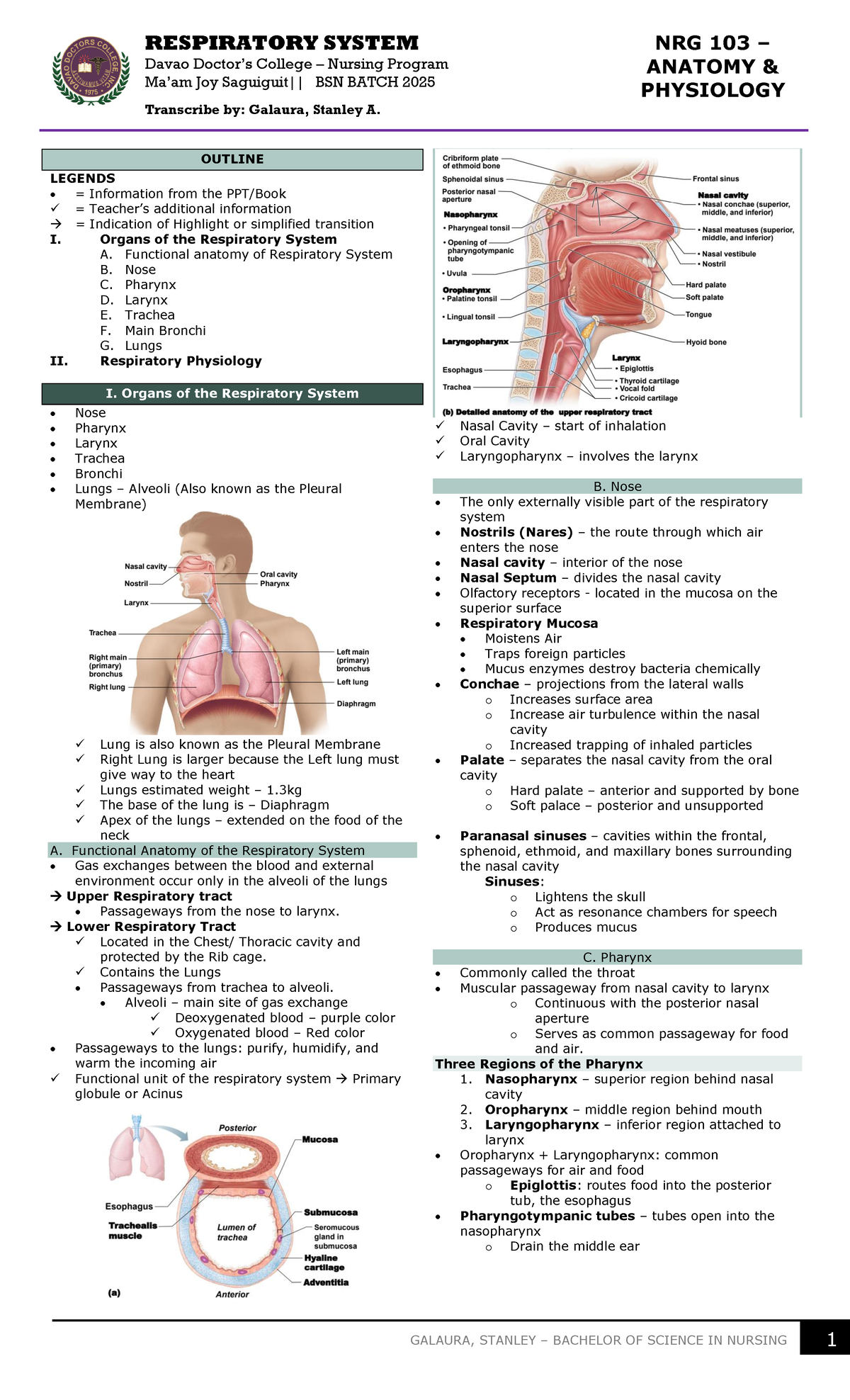 Transes Respiratory - Respiratory System Nrg 10 3 – Anatomy 