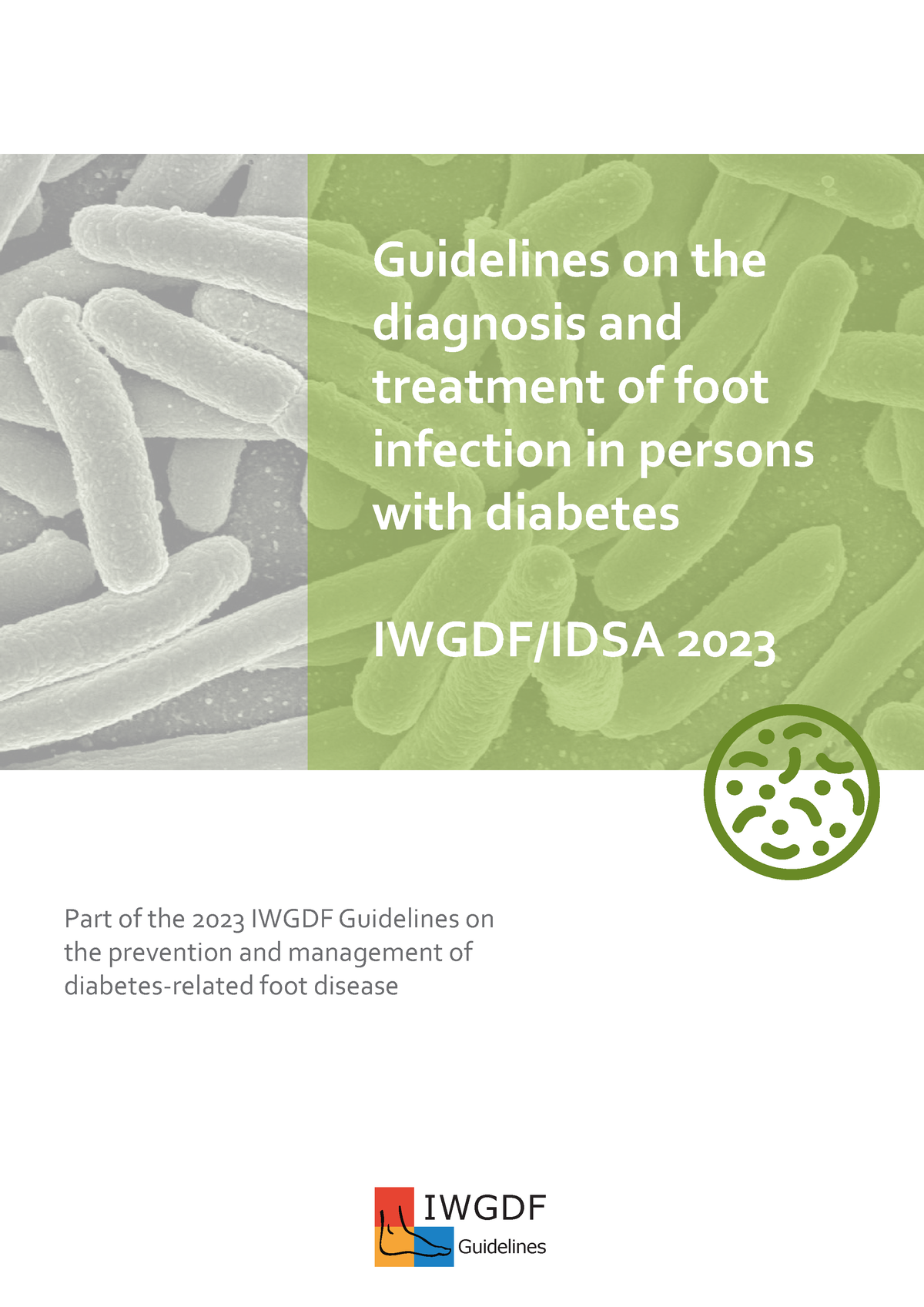 Iwgdf 2023 04 Infection Guideline Guidelines on the diagnosis and