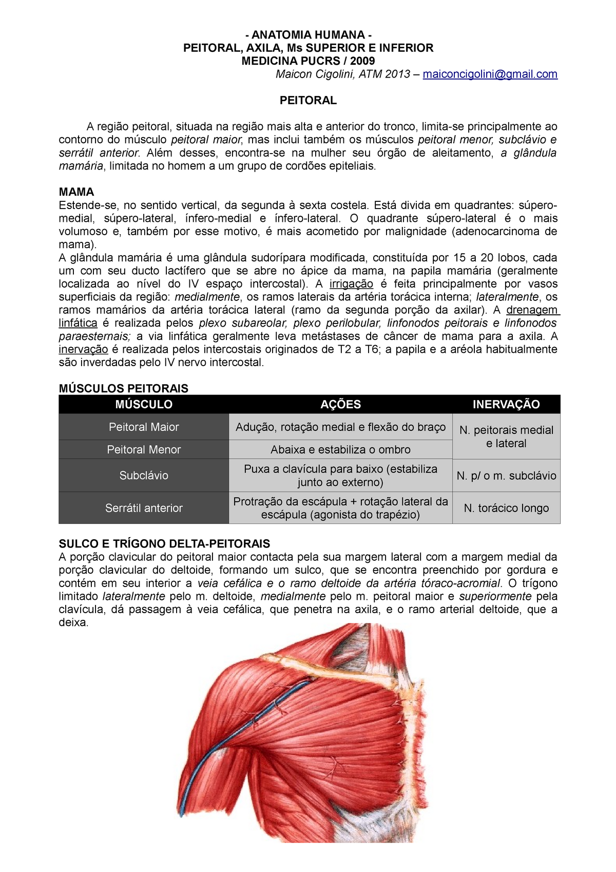 Resumo Anatomia Humana ANATOMIA HUMANA PEITORAL AXILA Ms SUPERIOR E INFERIOR MEDICINA PUCRS