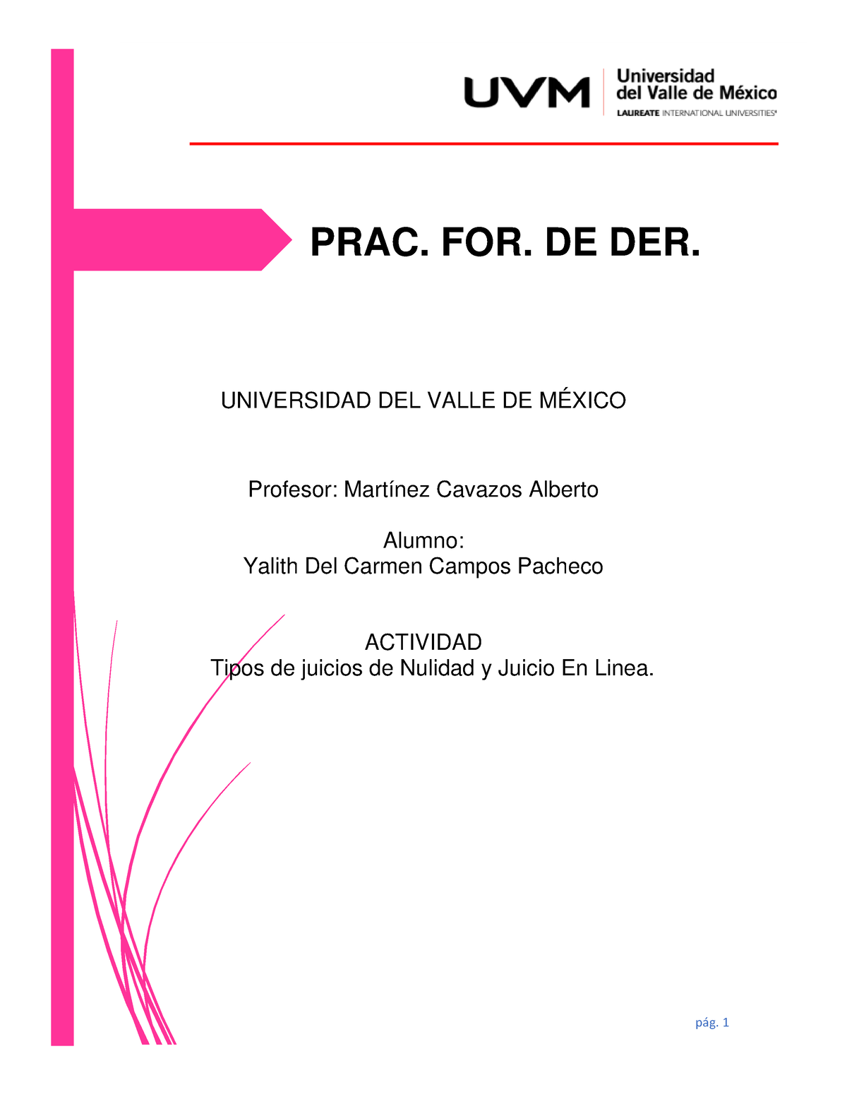 Tipos De Juicio De Nulidad Y Juicio En Linea Universidad Del Valle De M Xico Profesor