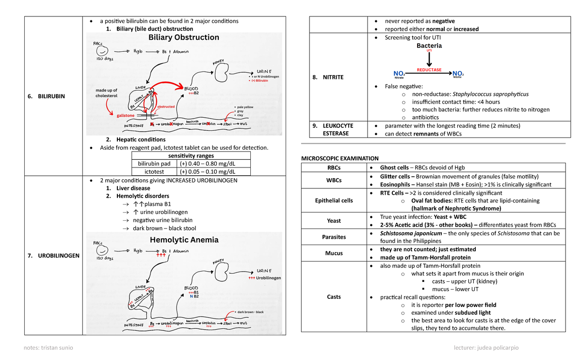 CM Notes-5-6 - just notes to access something - notes: tristan sunio ...