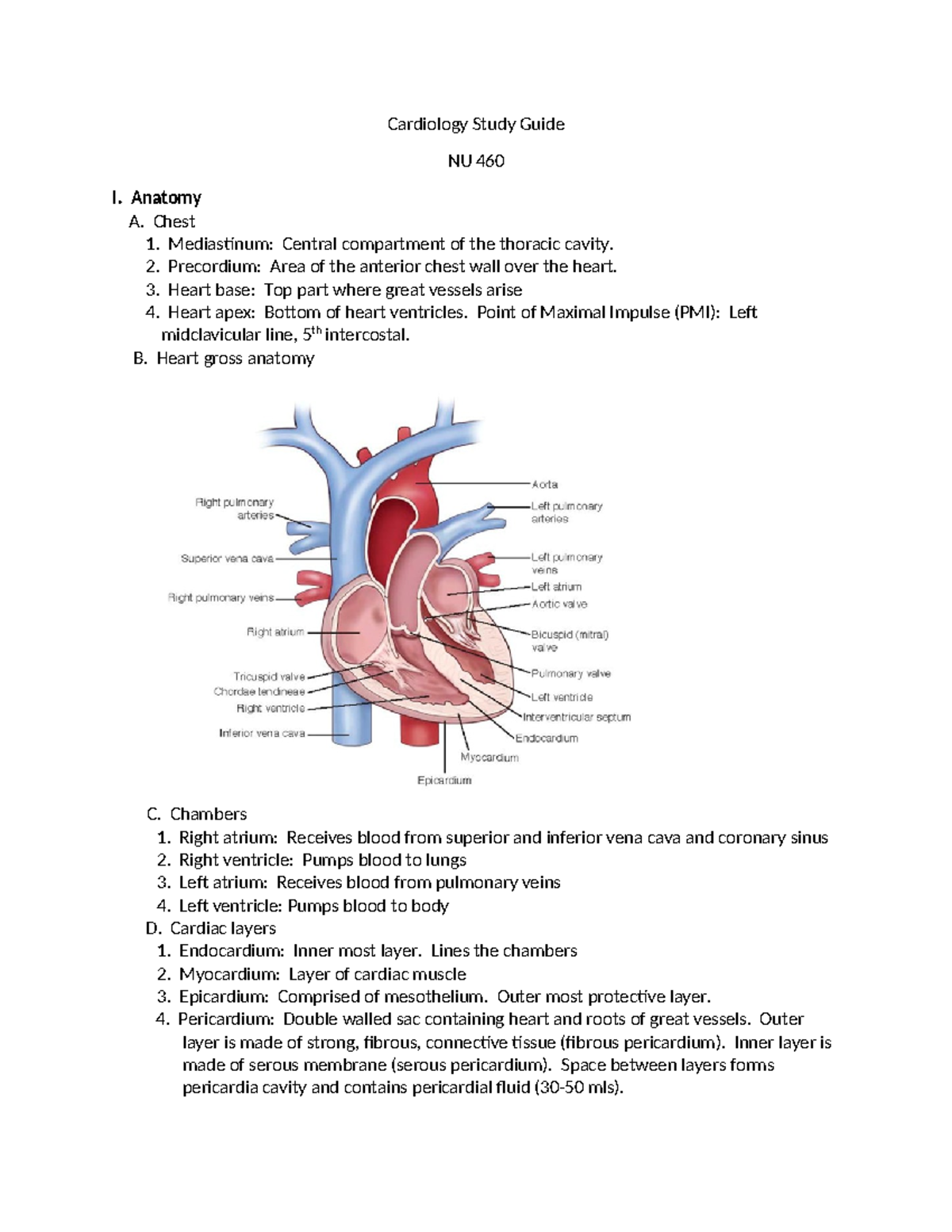 Cardiology Study Guide - Anatomy A. Chest Mediastinum: Central 