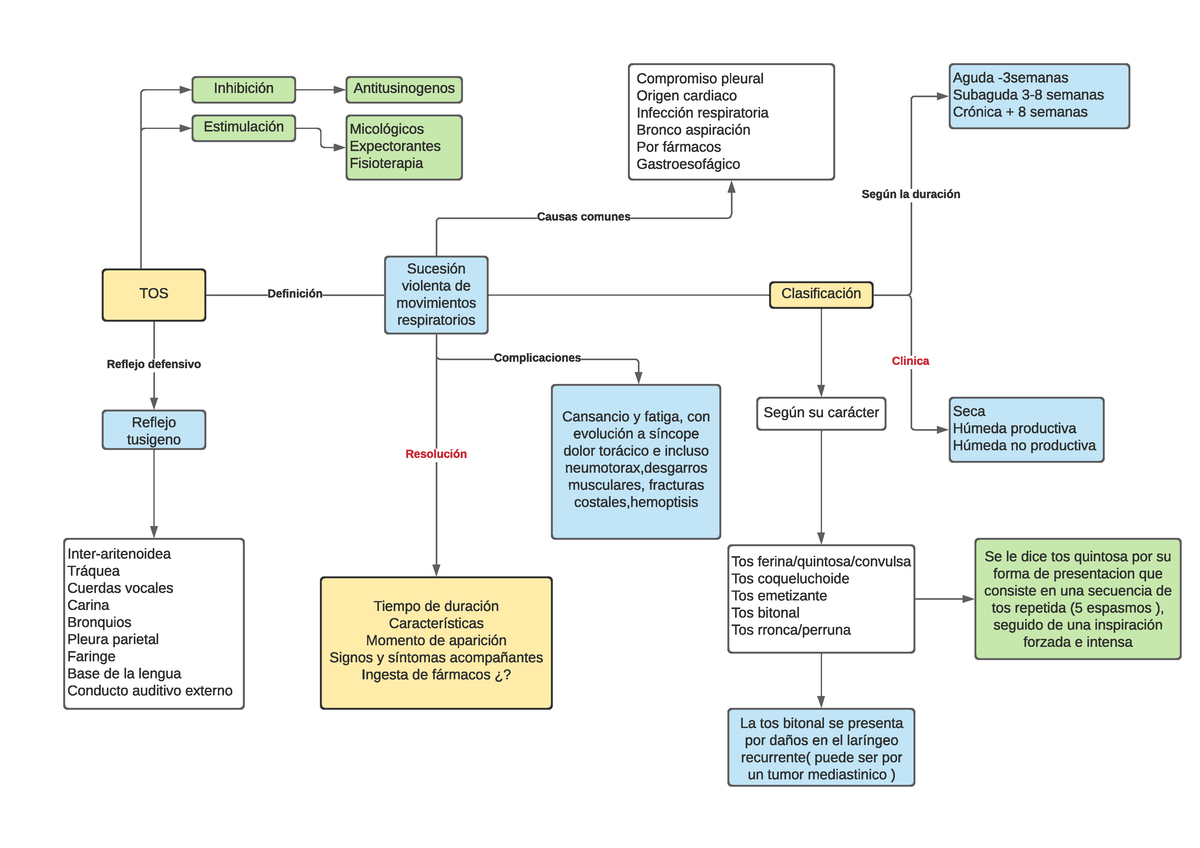 Tos Mapa Conceptual De Semiología De La Tos Tos Inhibición Estimulación Antitusinogenos 3003