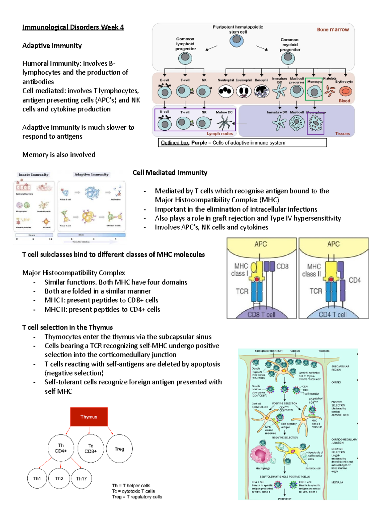 Adaptive Immunity - Lecture Notes 4 - Immunological Disorders Week 4 ...