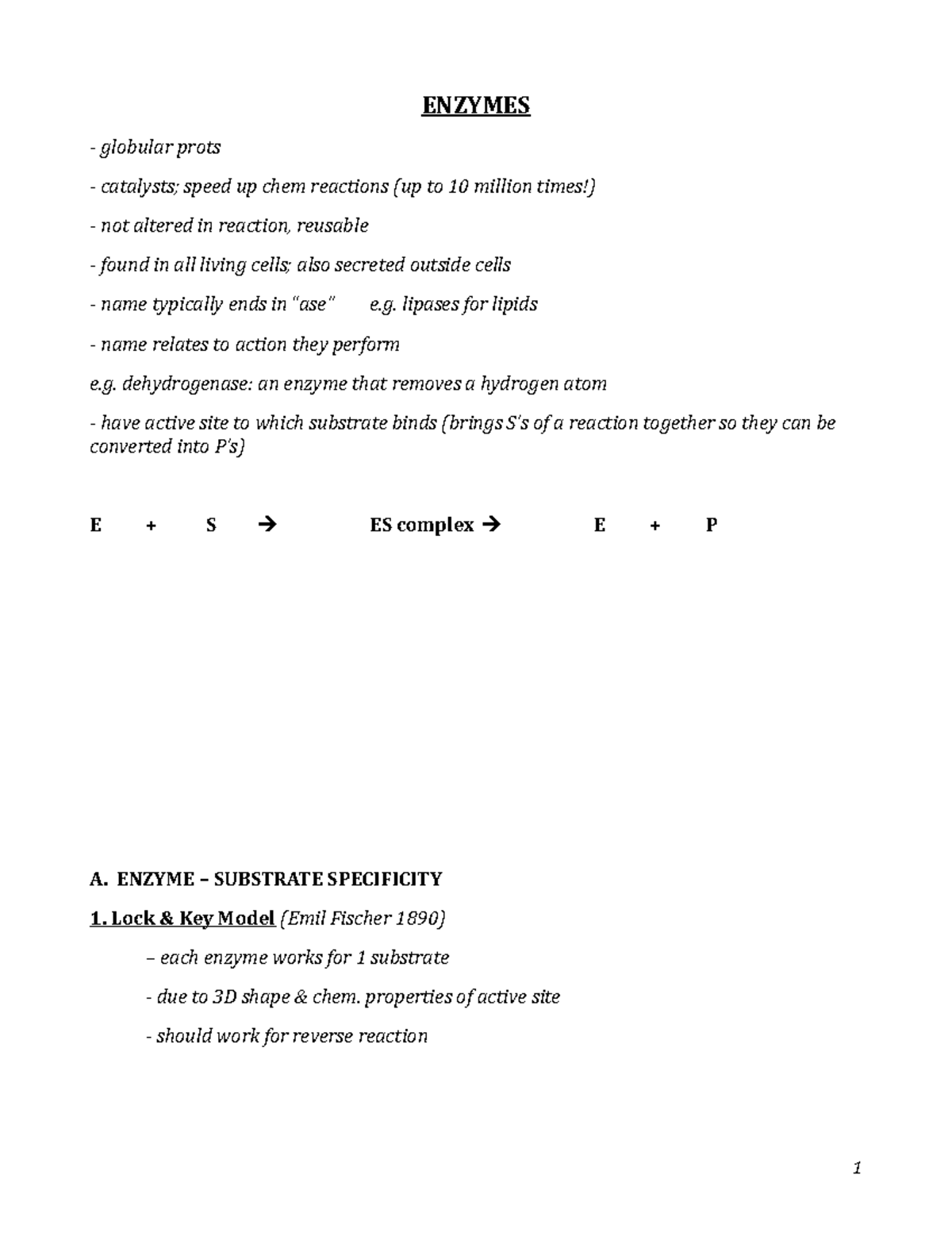 3b. IB Bio 12 Enzymes No Diagrams - ENZYMES globular prots catalysts ...