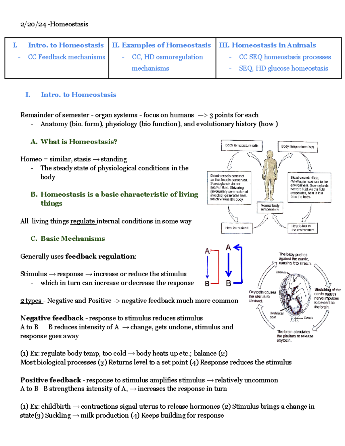 2-20-24 - Gen Bio II Lecture - Homeostasis - 2/20/24 -Homeostasis I ...