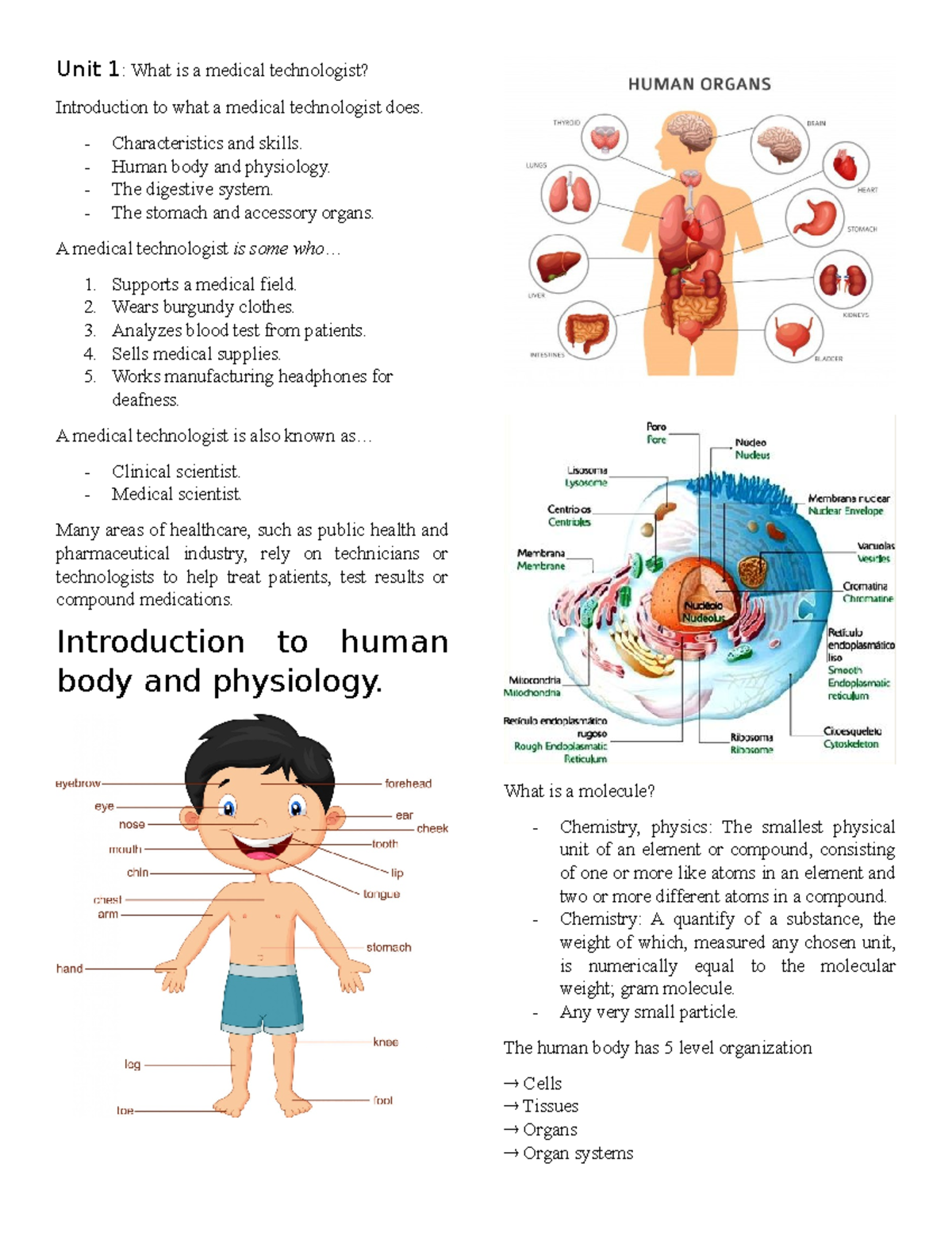 Unit 1 - Unidad 1 De Inglés Técnico - Unit 1: What Is A Medical 