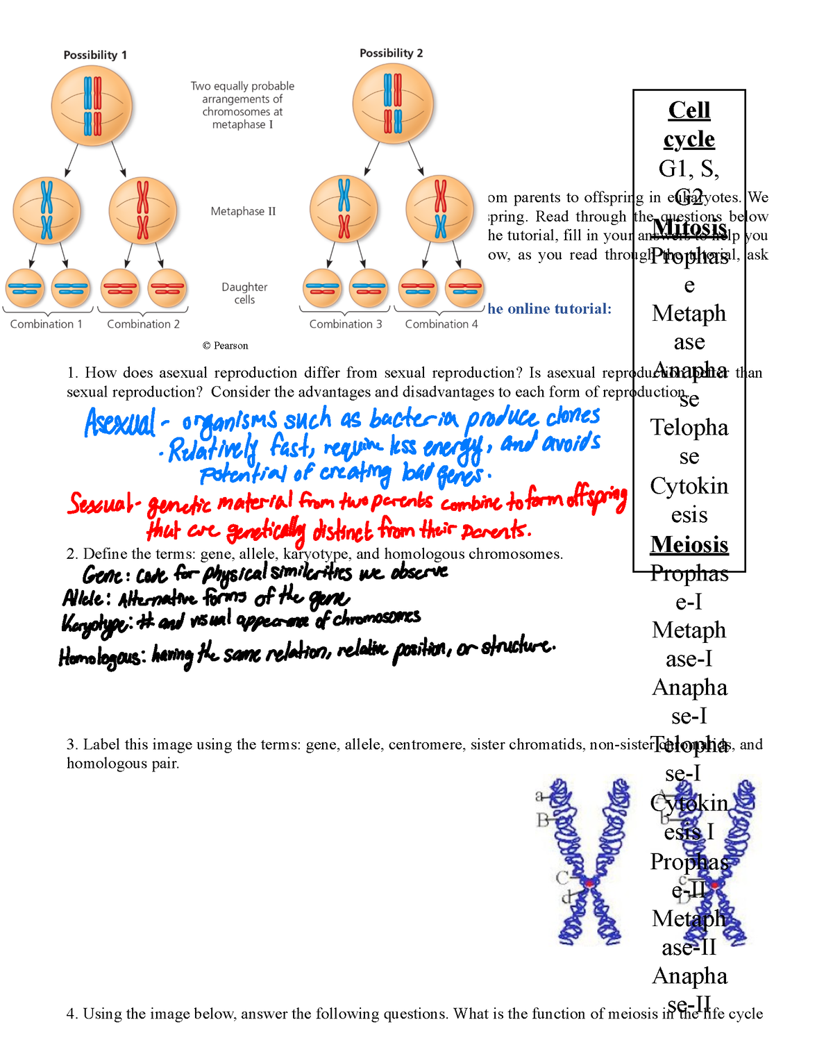 Lecture guide 11 - BIOL 110 - Basic Concepts and Biodiversity Learning ...