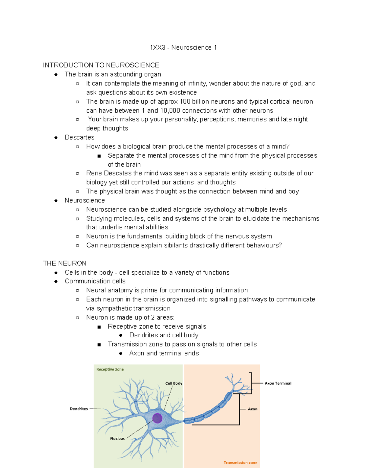 PSYCH 1XX3 - Neuroscience I - 1XX3 - Neuroscience 1 INTRODUCTION TO ...