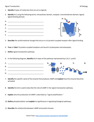 Quiz de Historia -El tiempo worksheet