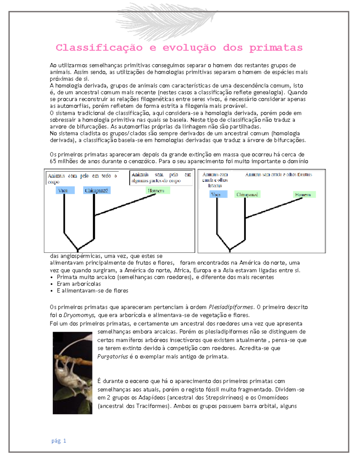 Biologia Humana (resumos) - e dos primatas Ao utilizarmos primitivas ...